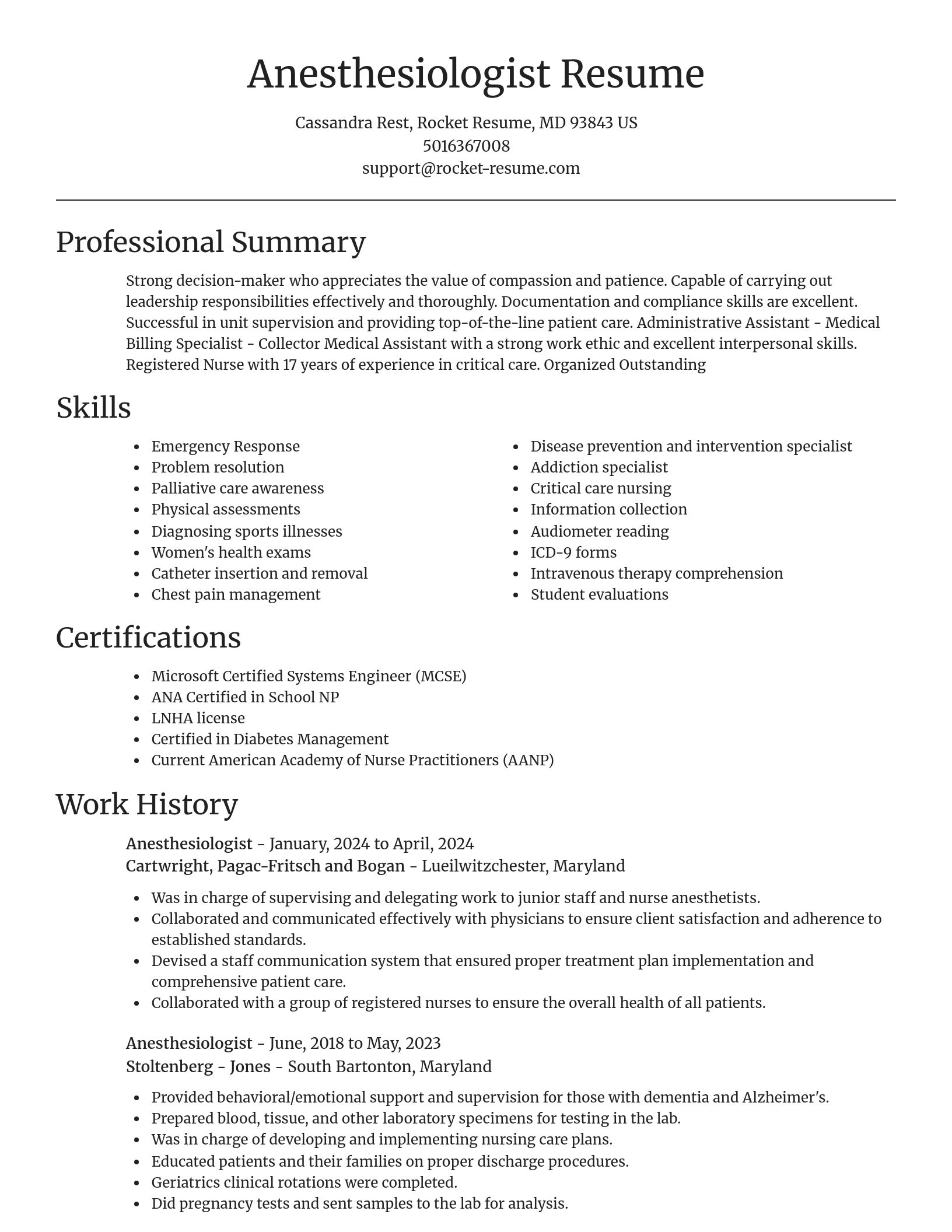 Focal Point resume template