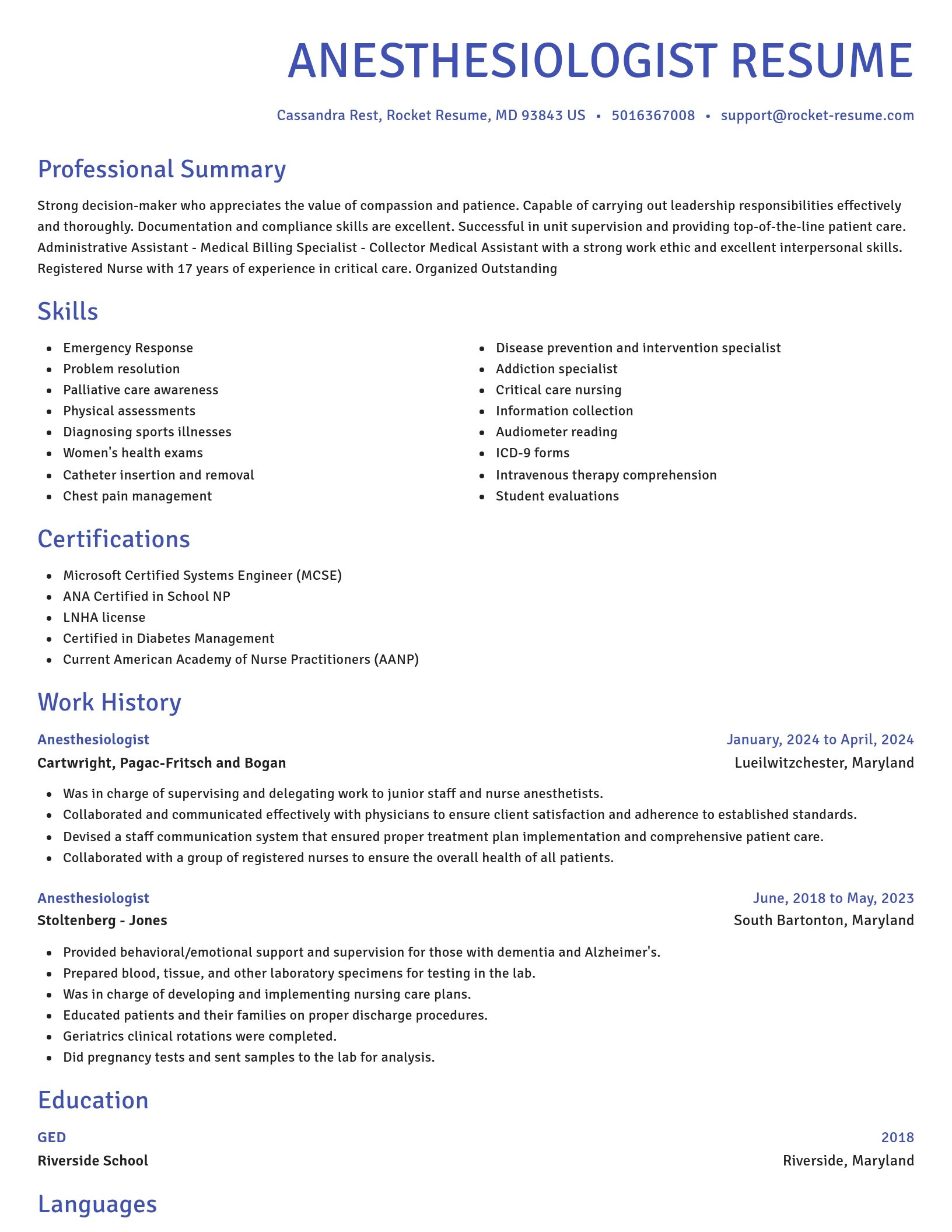 Novel resume template