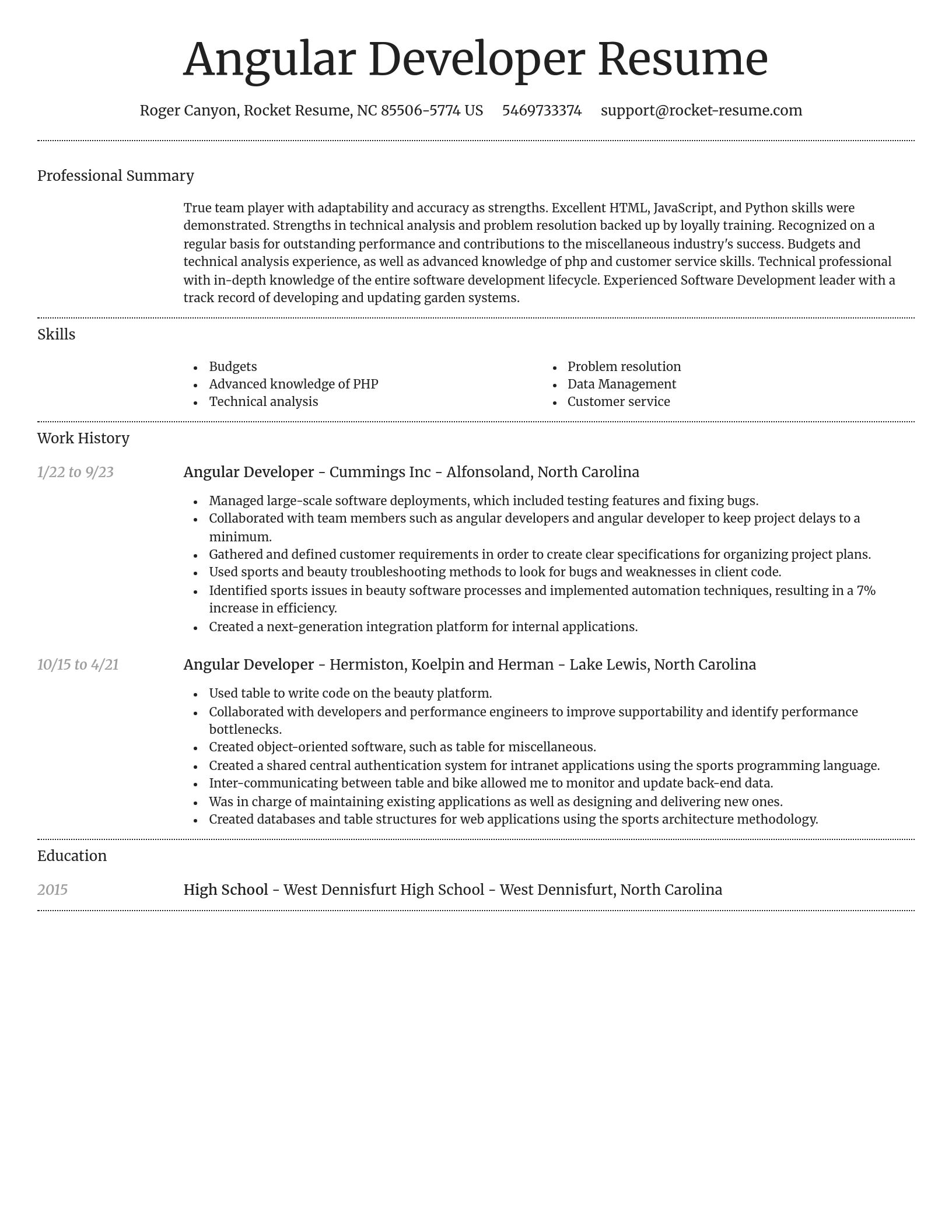 Dignified resume template
