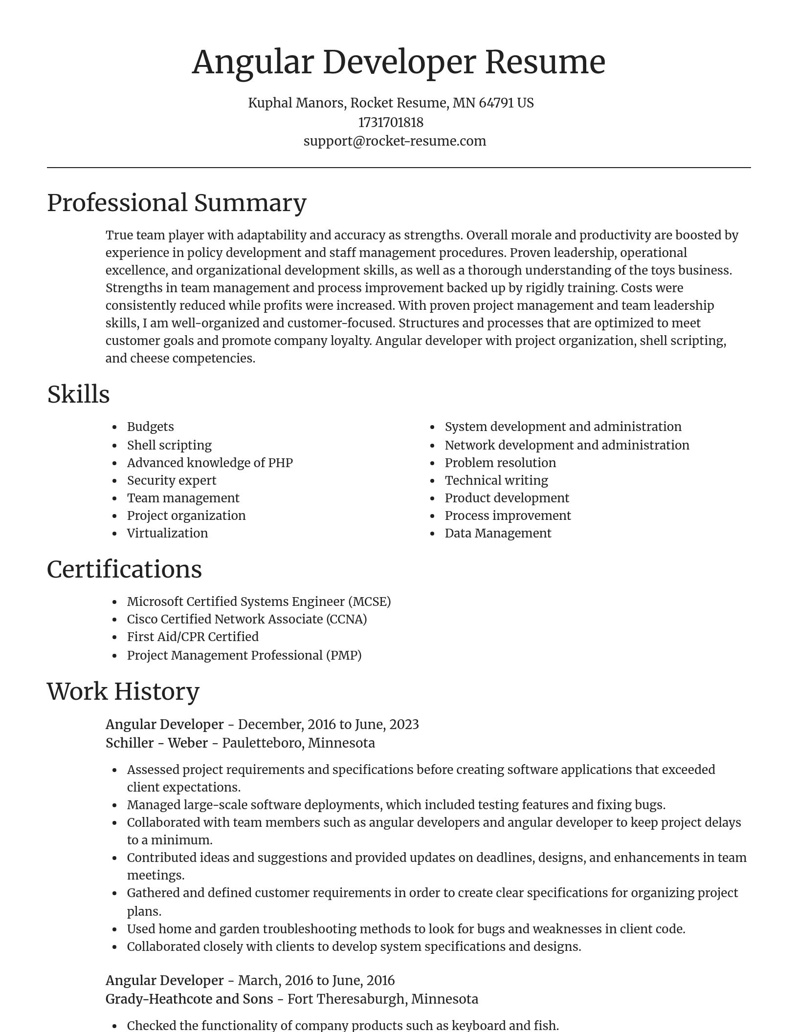Focal Point resume template