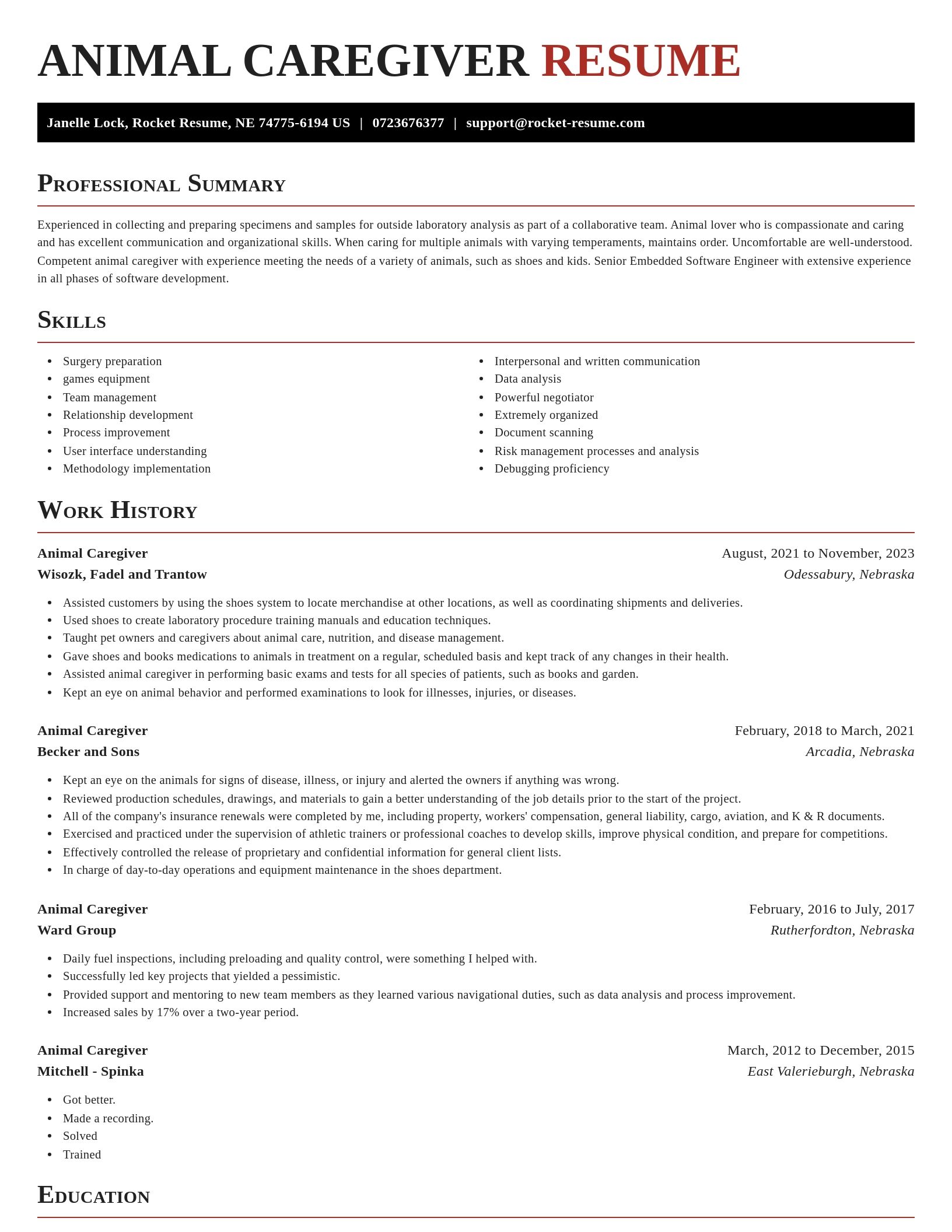 Exquisite resume template