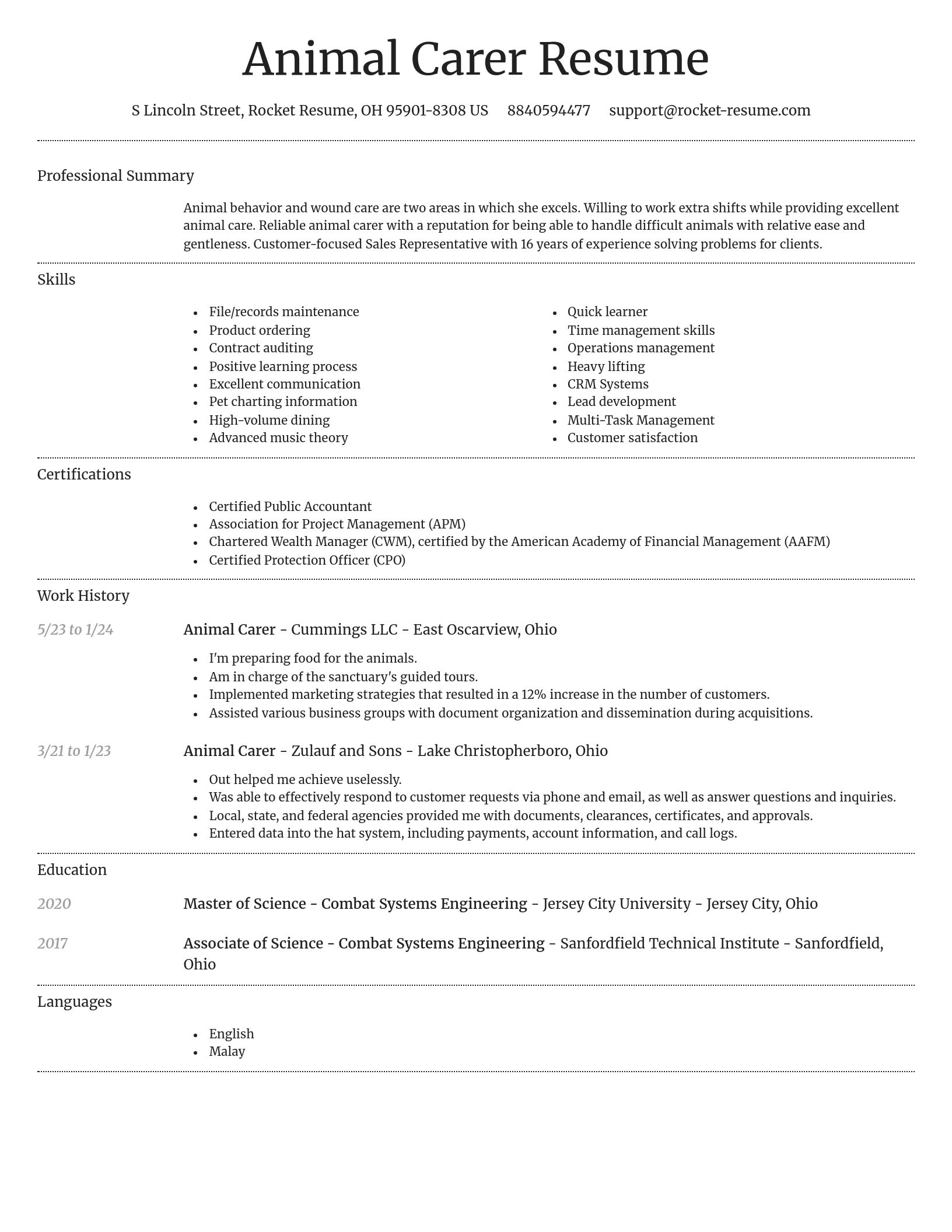 Dignified resume template