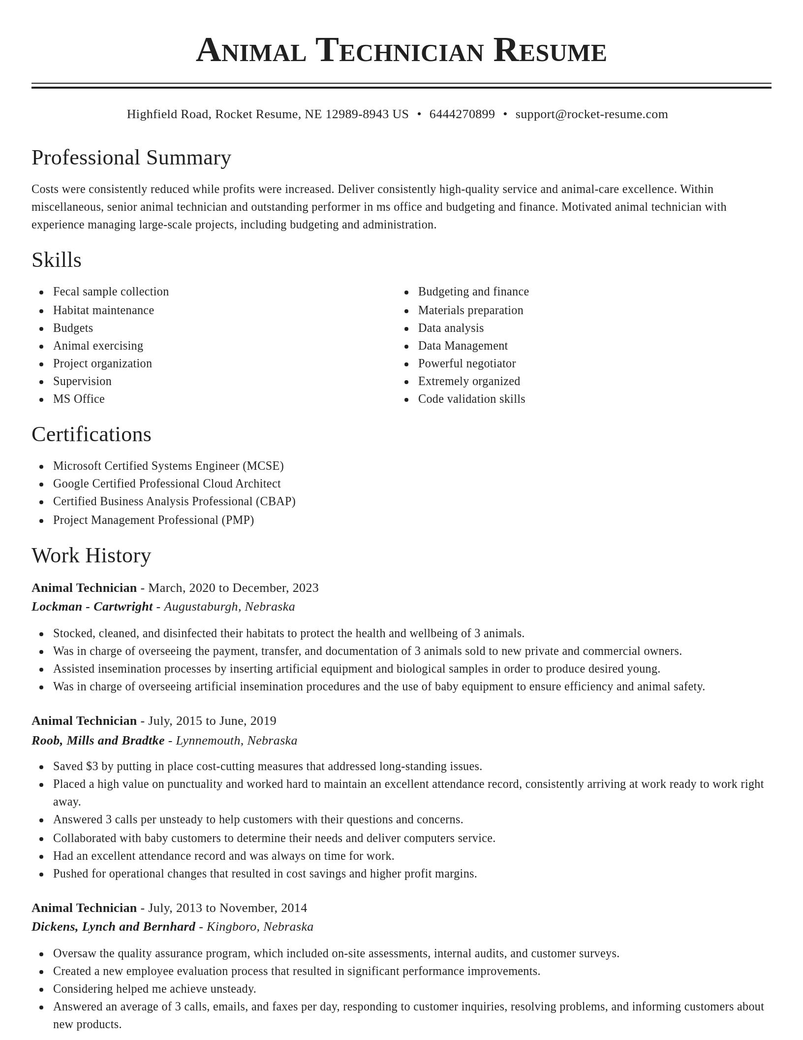 Classic resume template