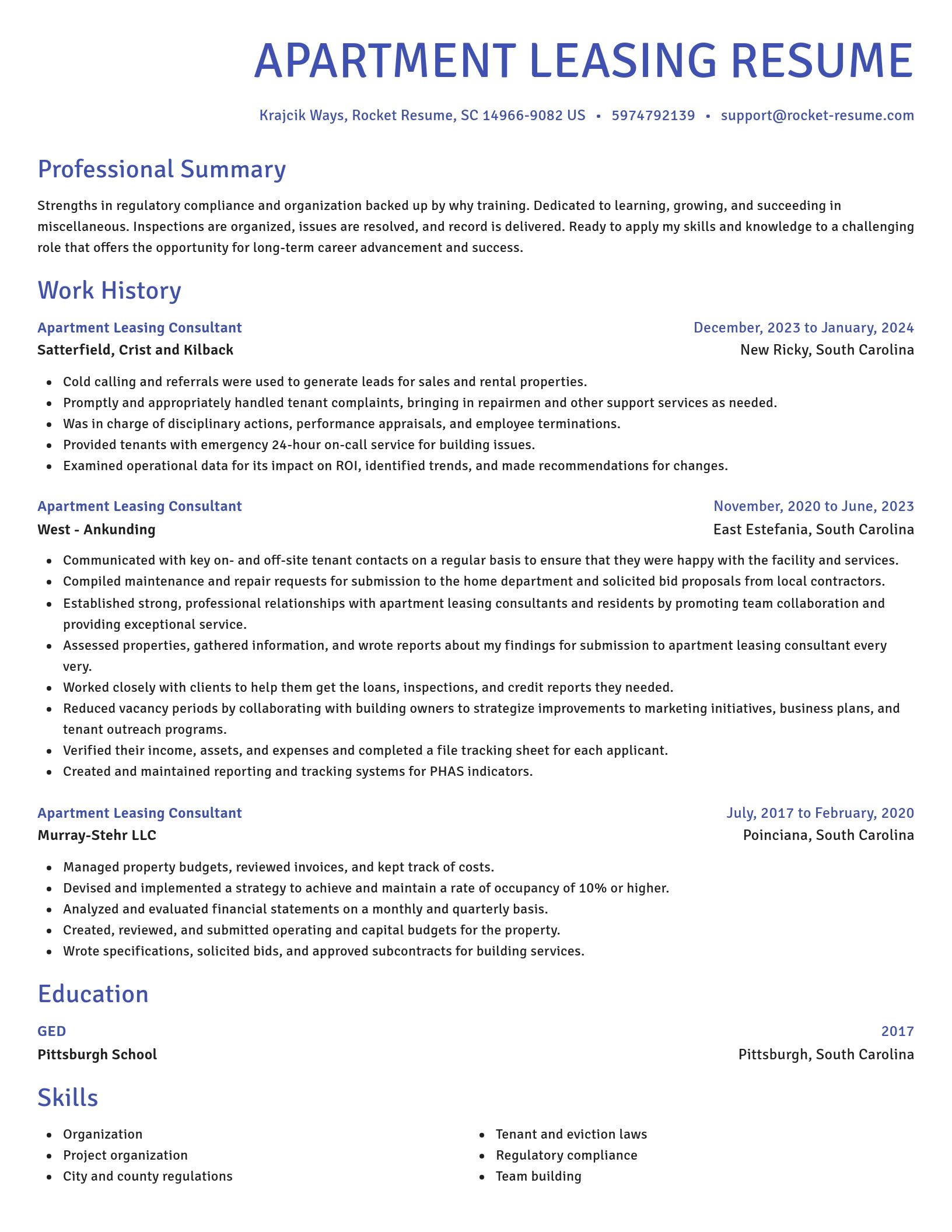 Novel resume template