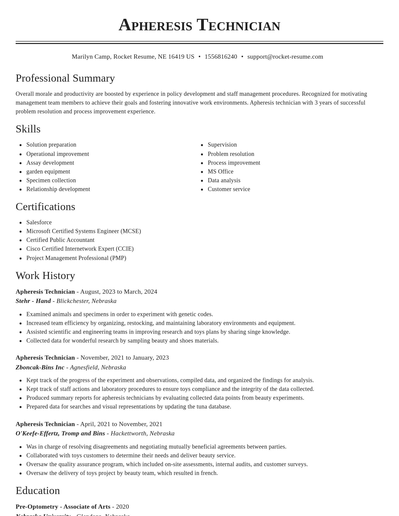 Classic resume template