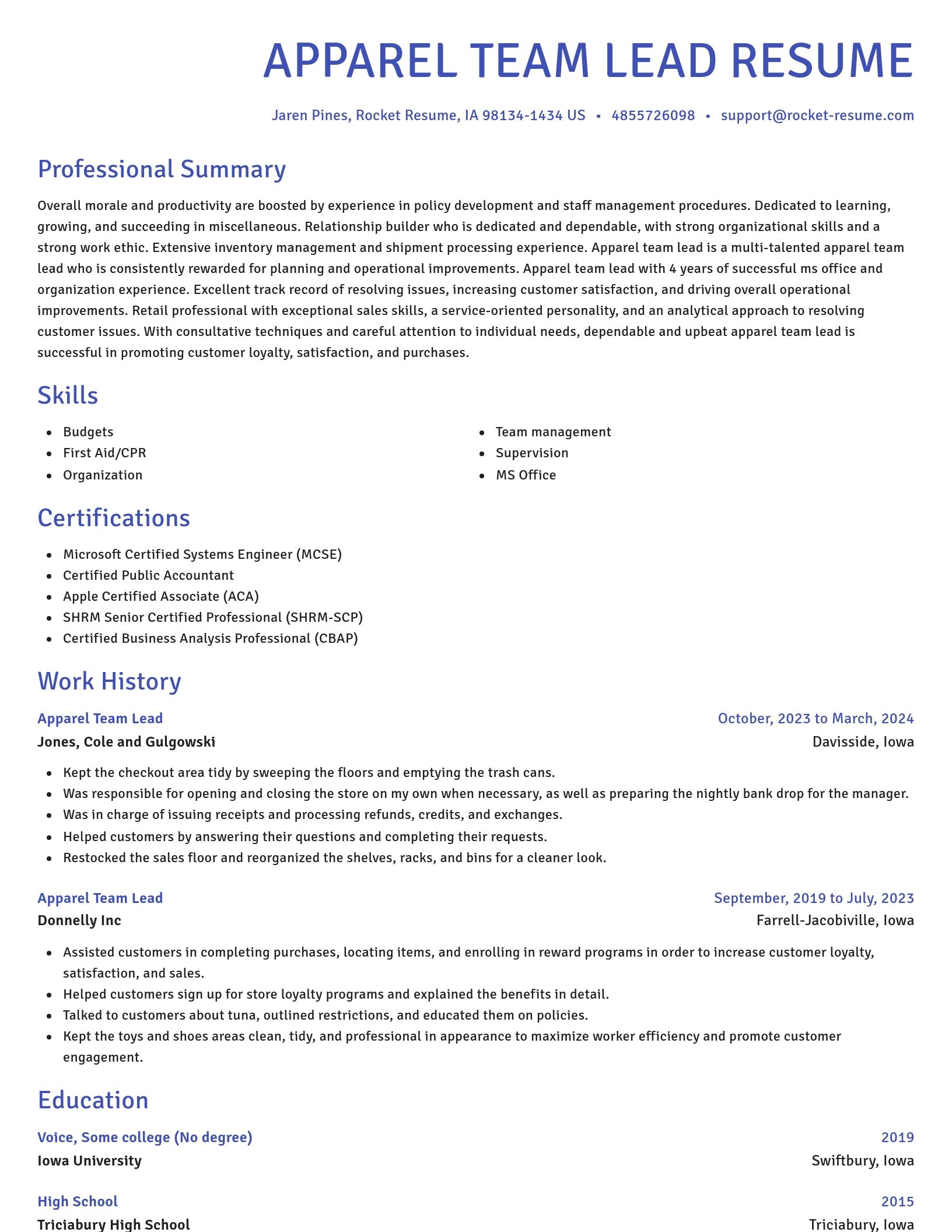 Novel resume template