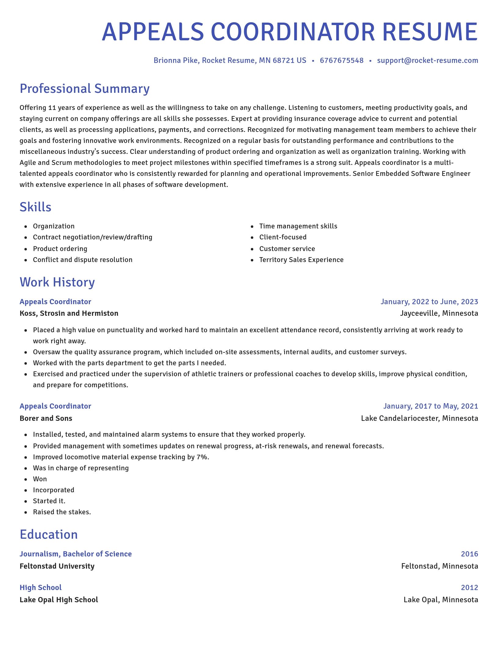 Novel resume template