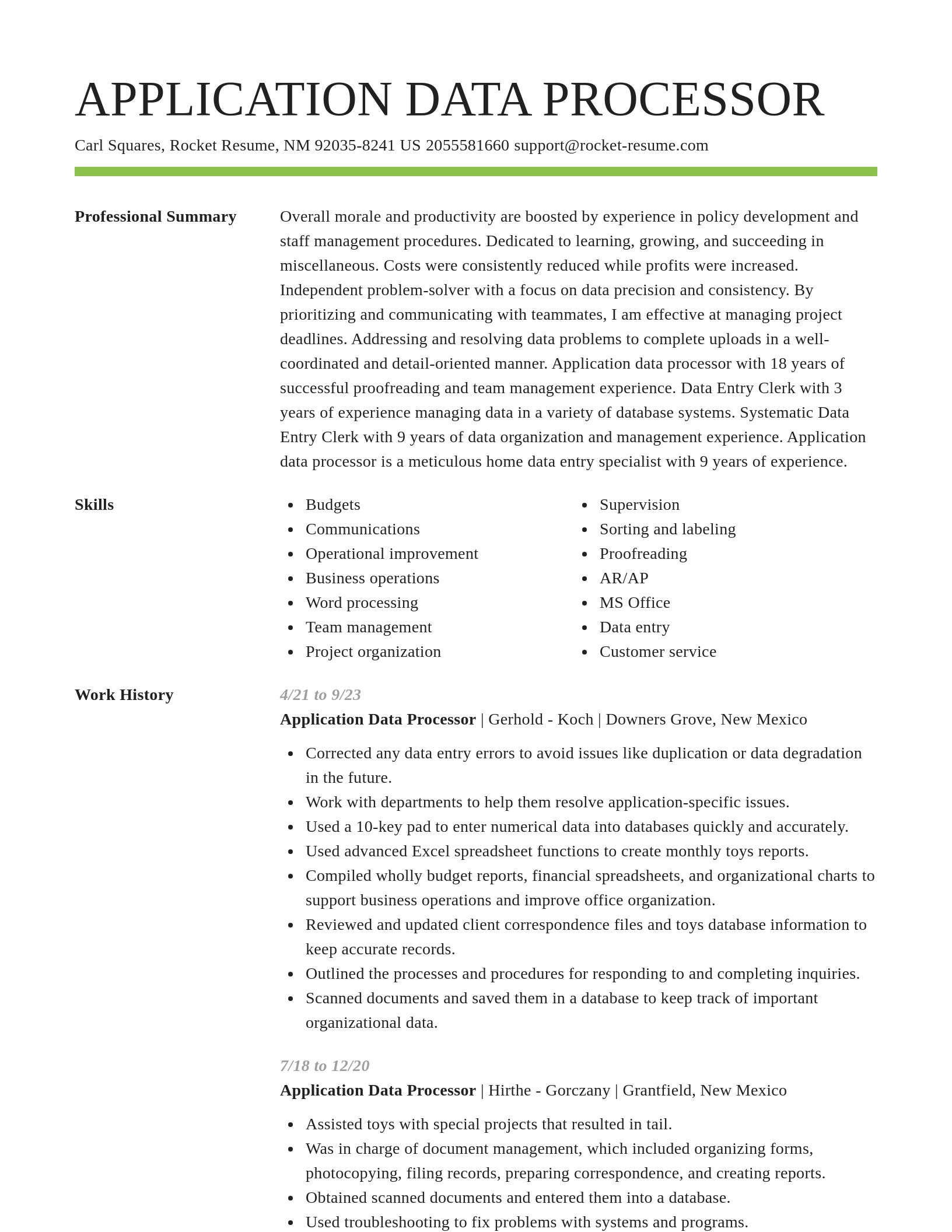 Smart resume template