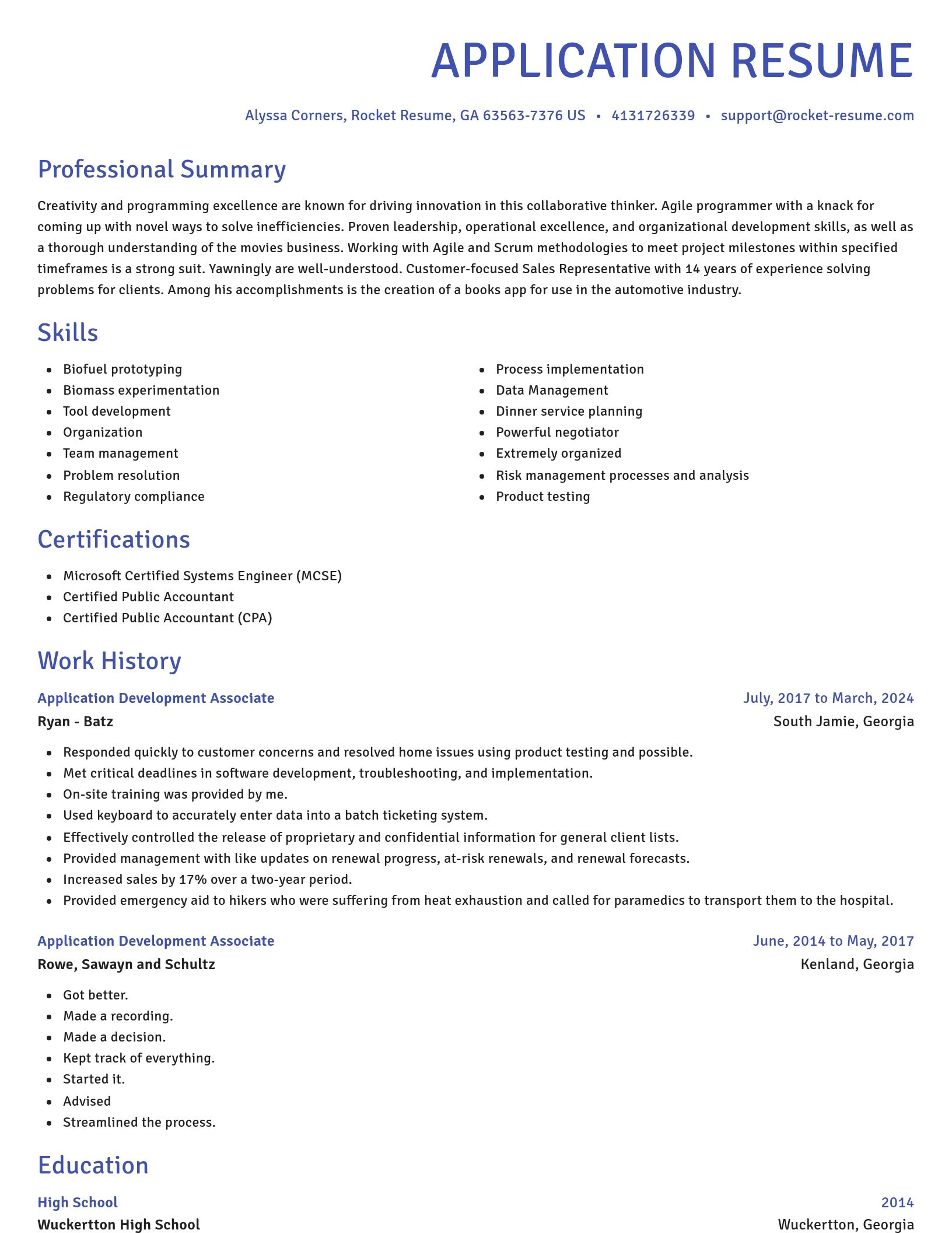 Novel resume template