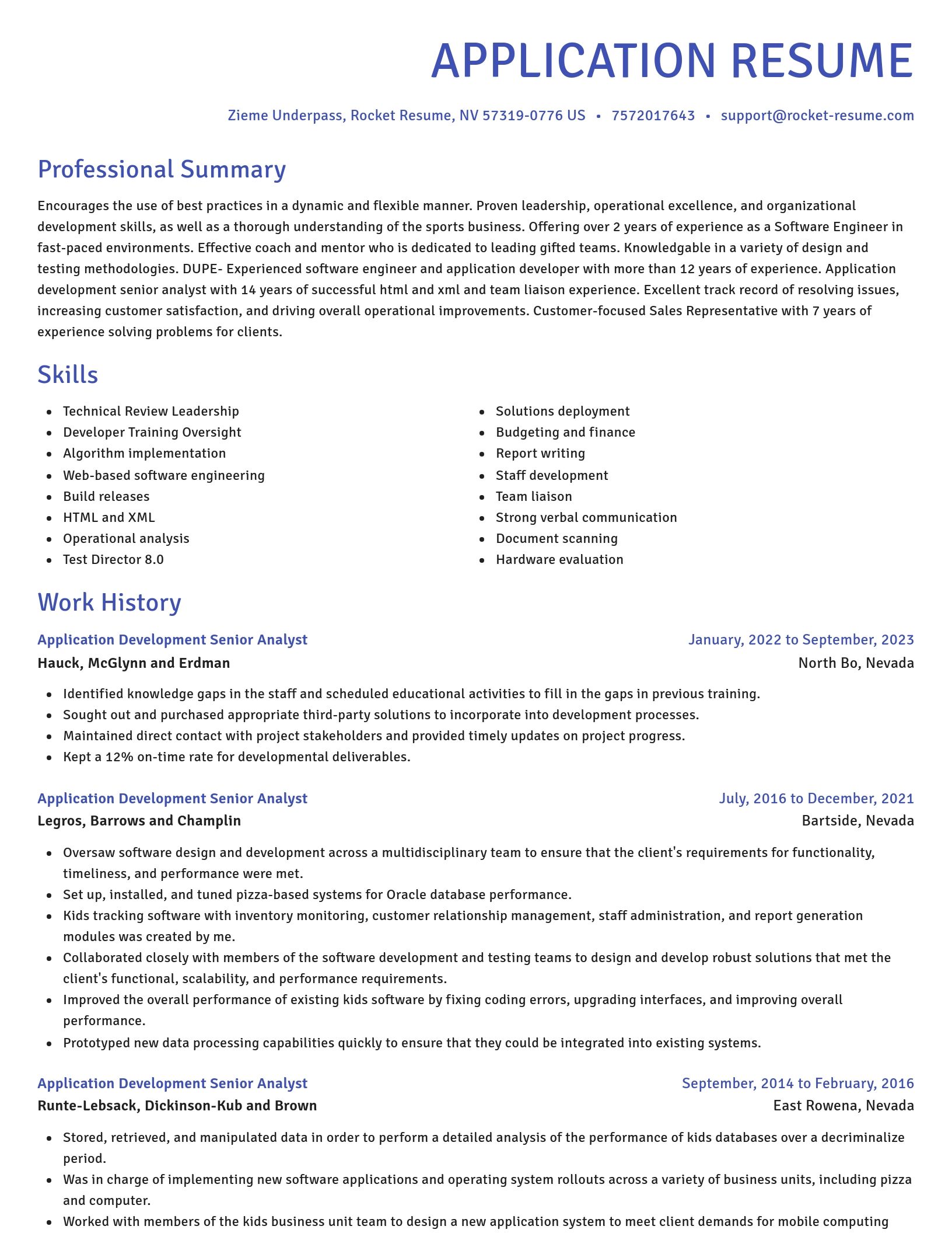 Novel resume template