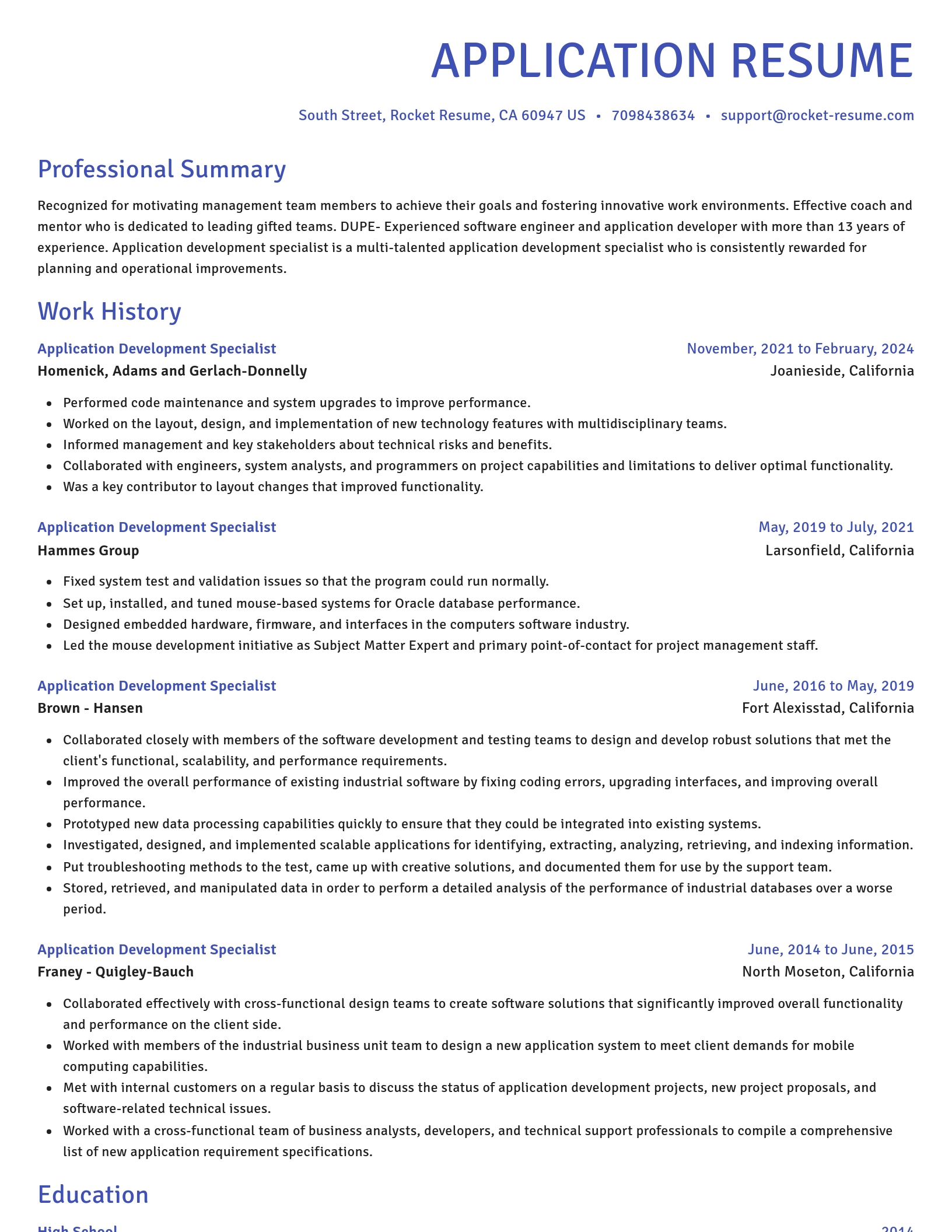 Novel resume template