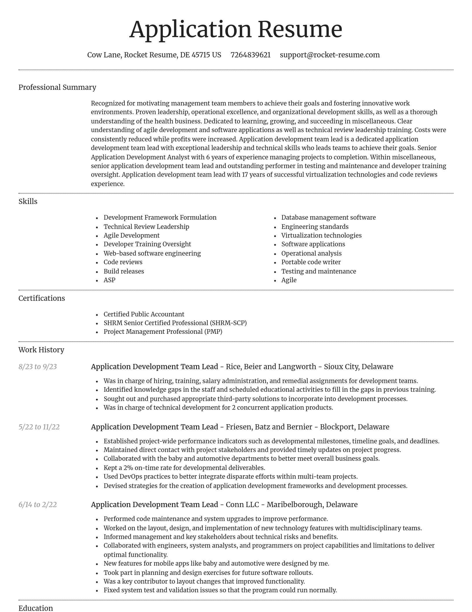 Dignified resume template
