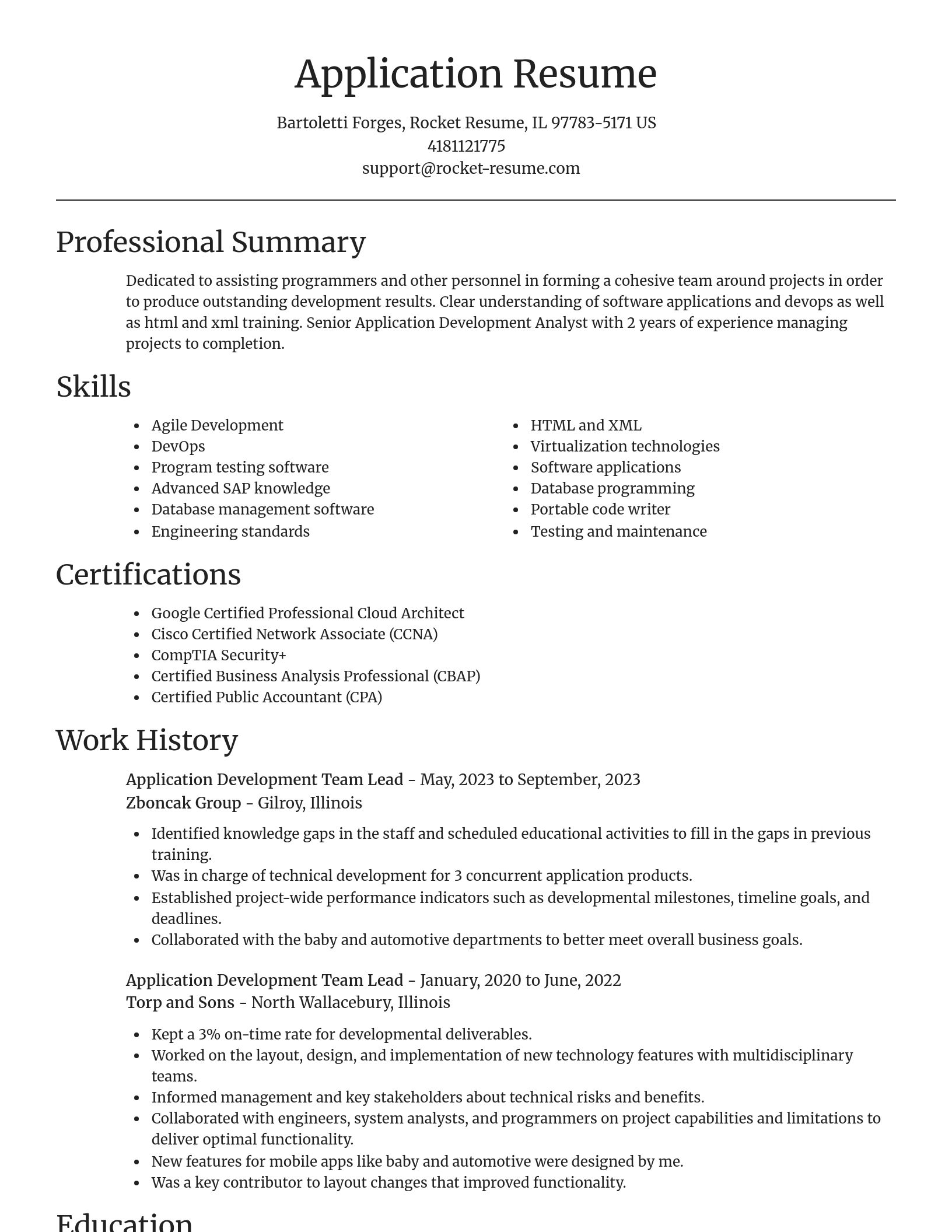 Focal Point resume template