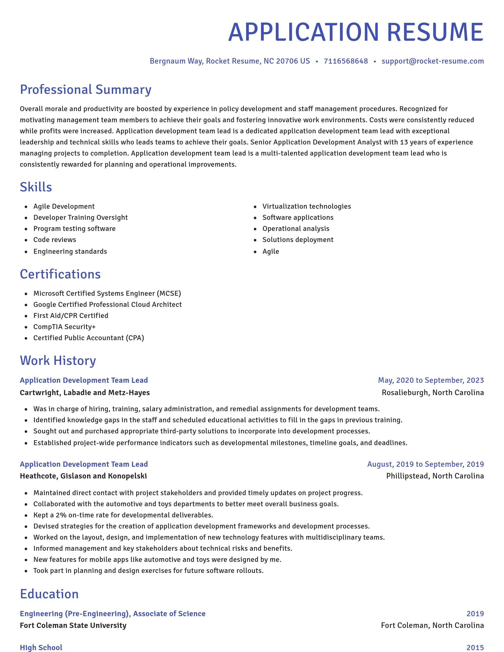 Novel resume template