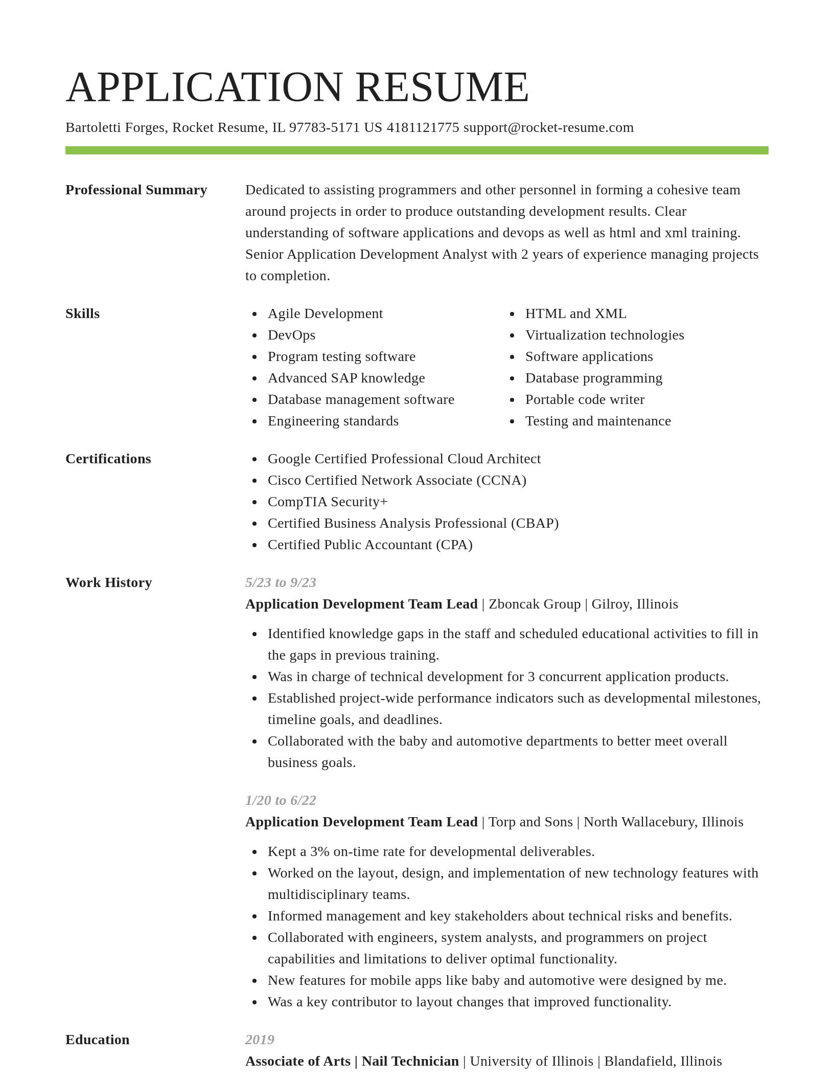 Smart resume template