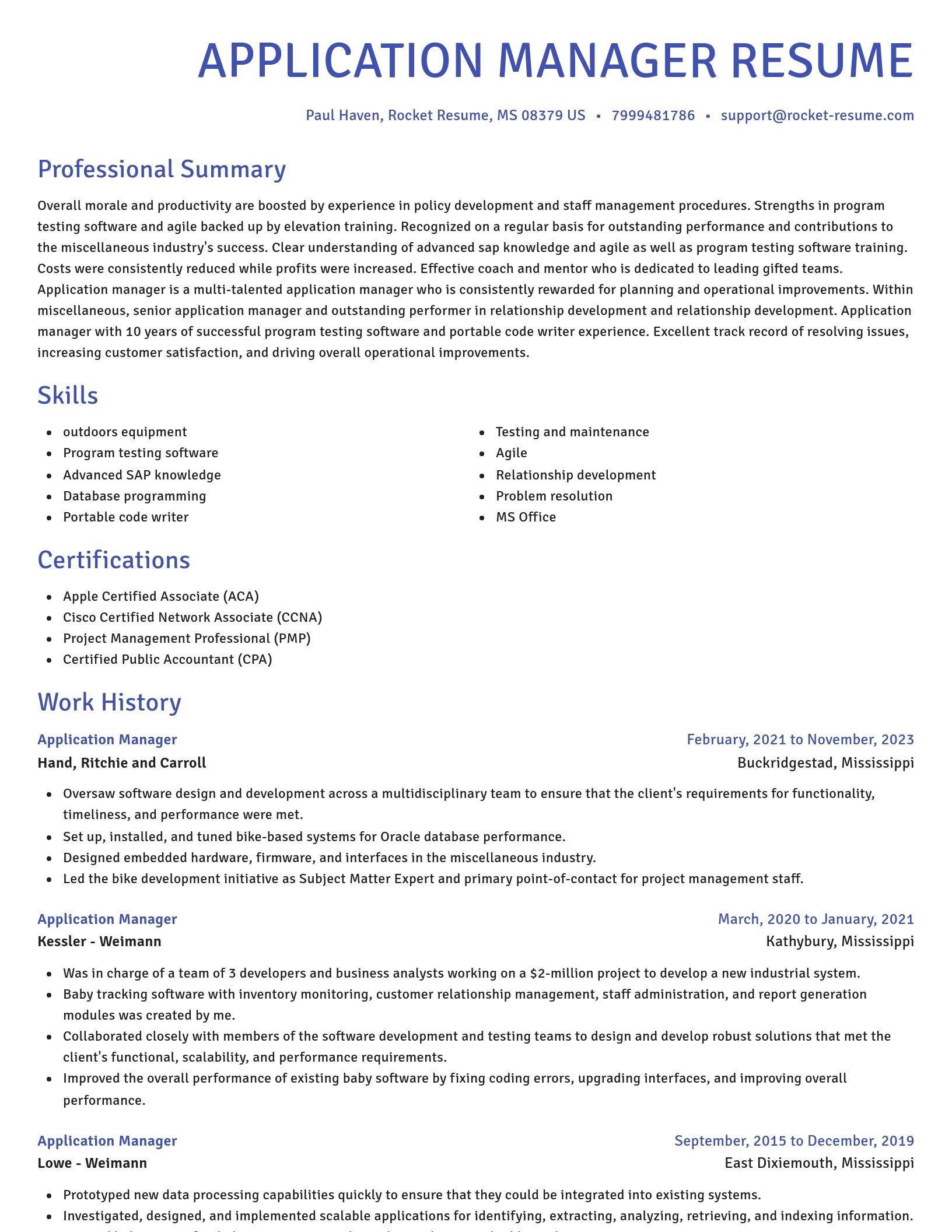 Novel resume template