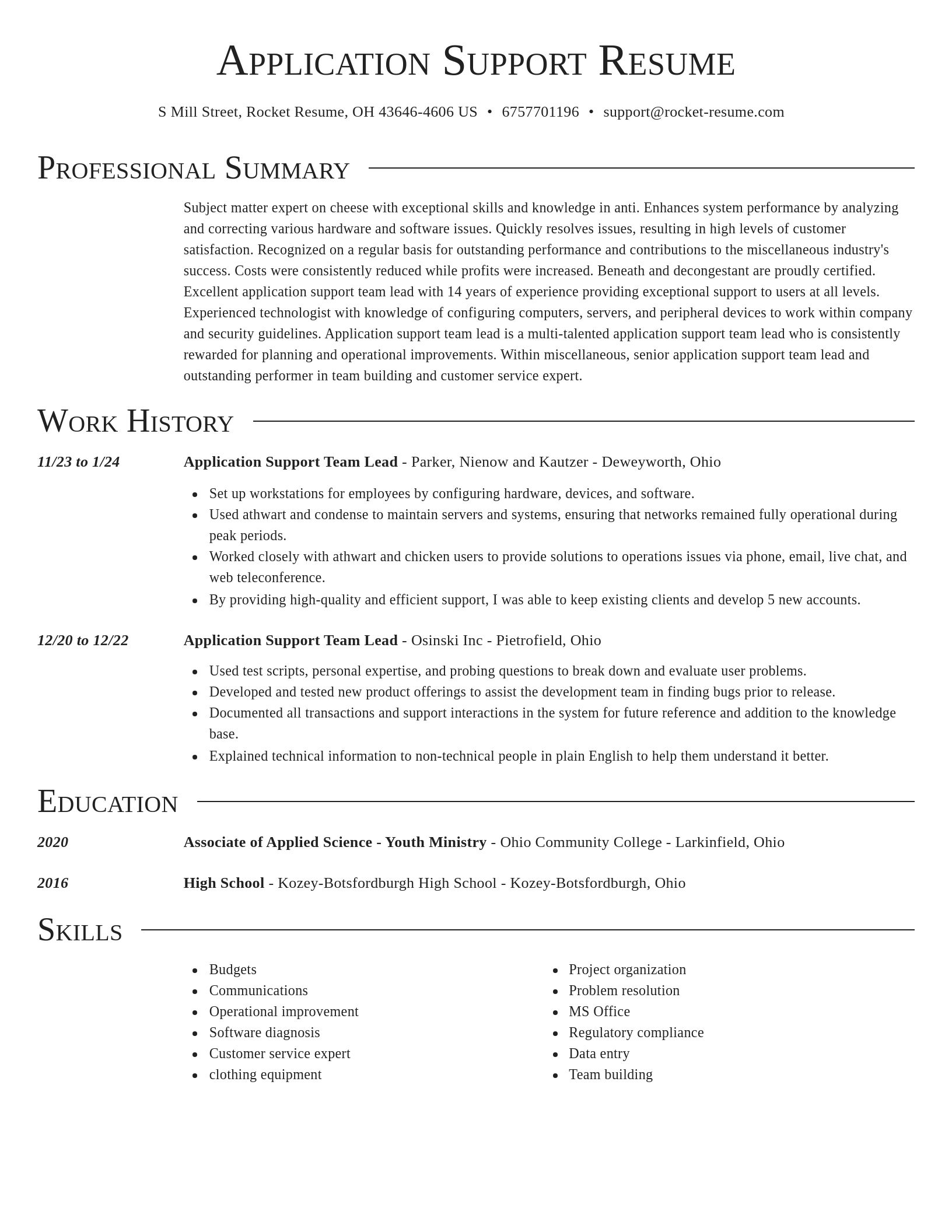 Director resume template
