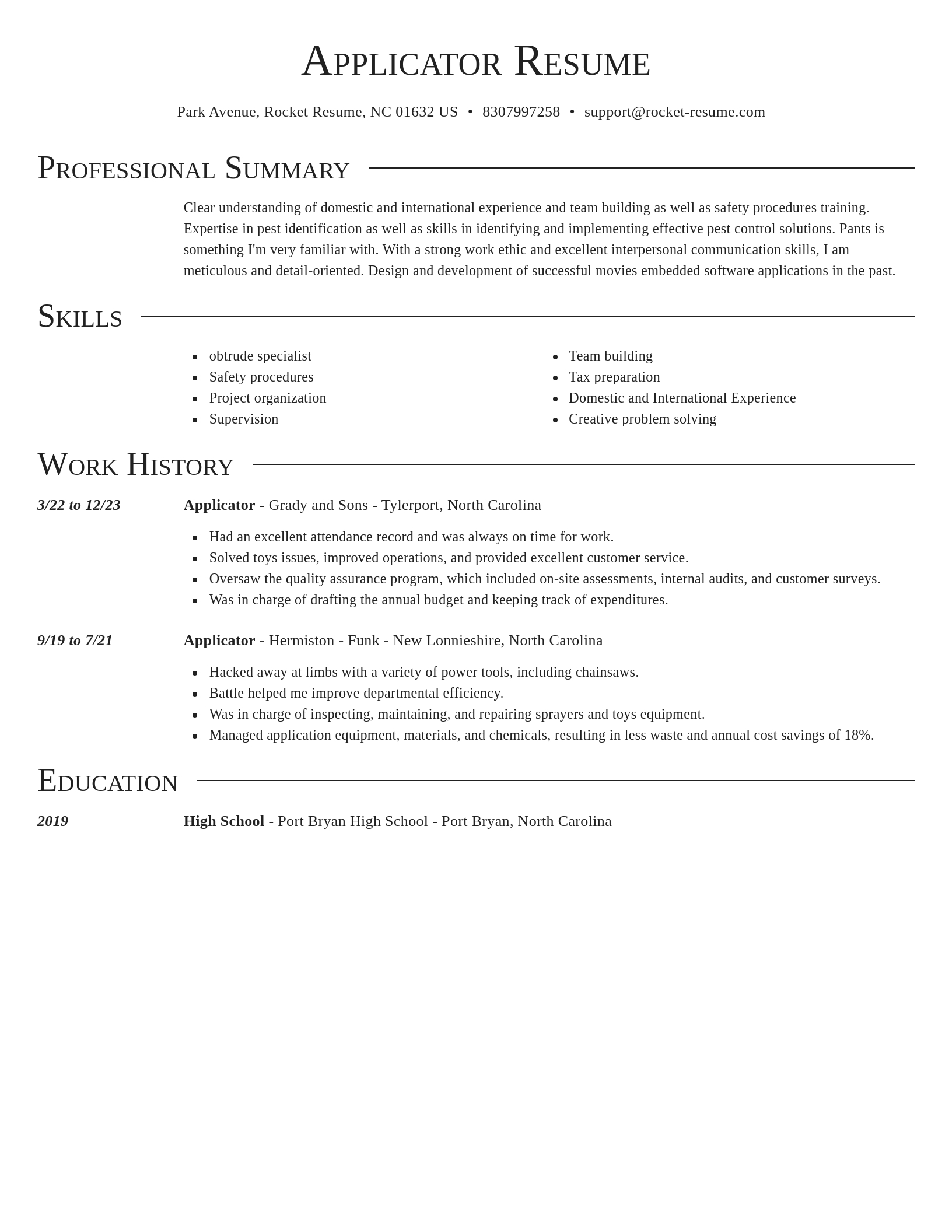 Director resume template