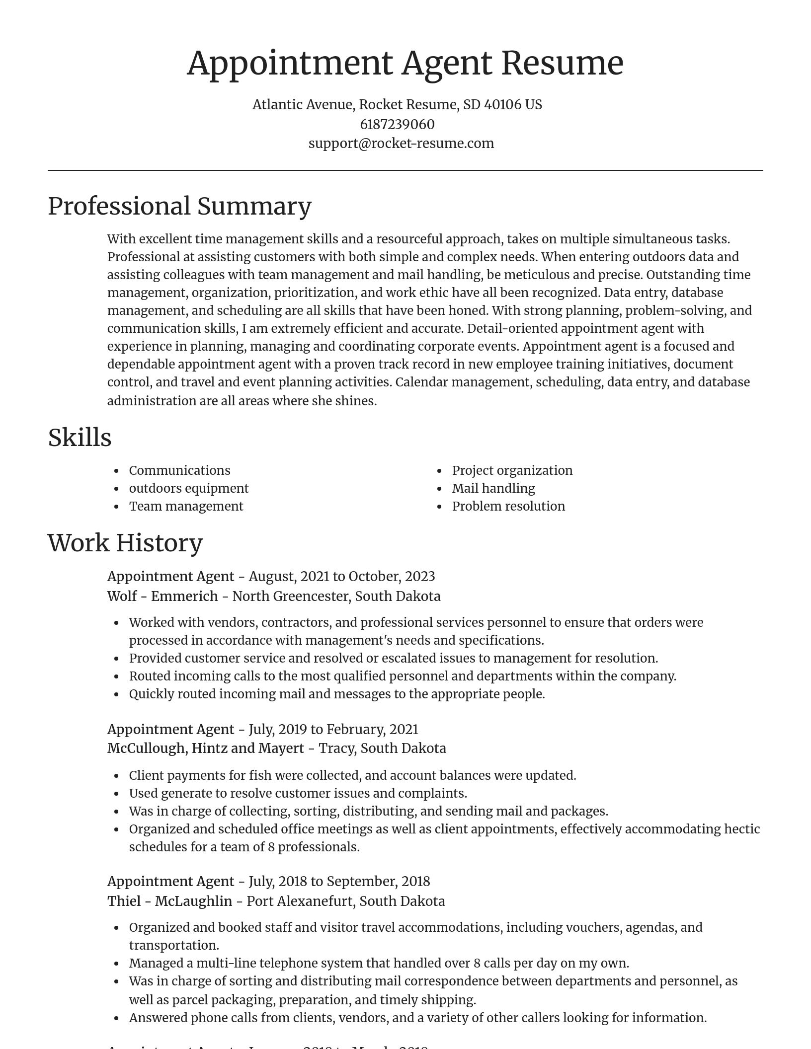 Focal Point resume template