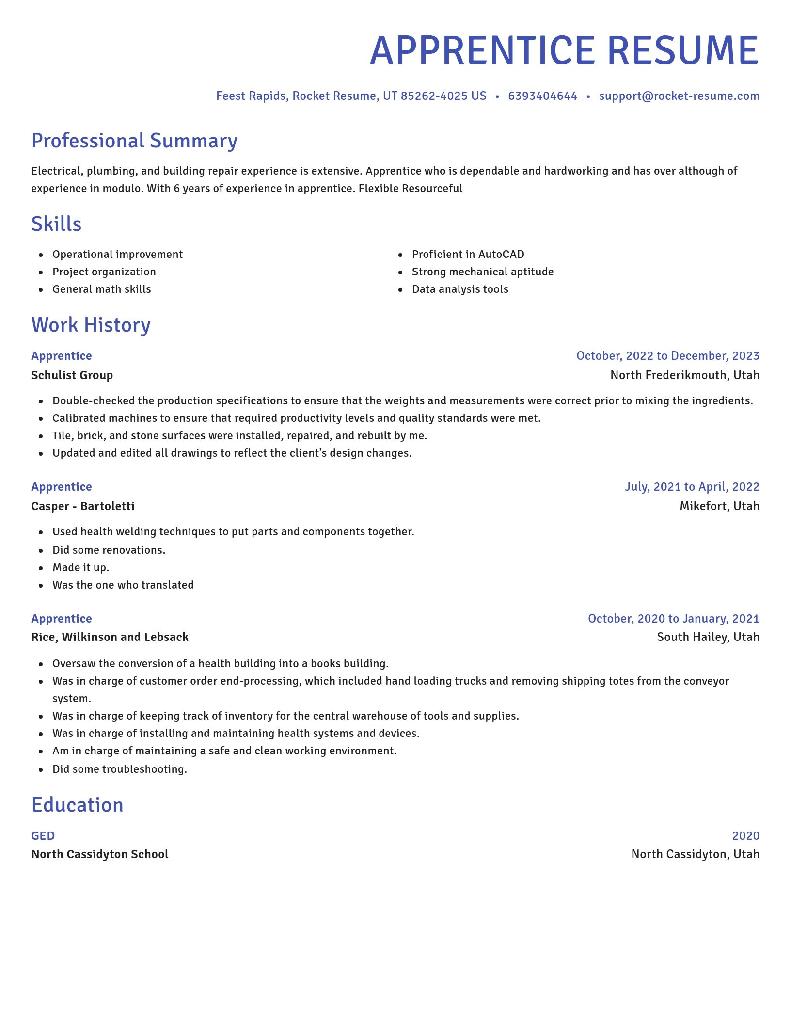 Novel resume template