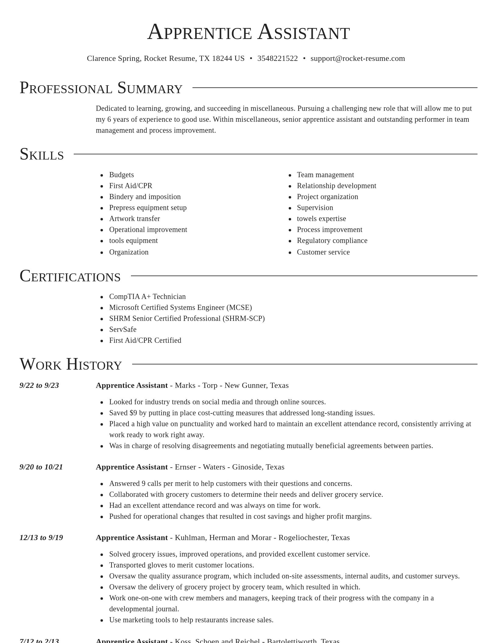 Director resume template