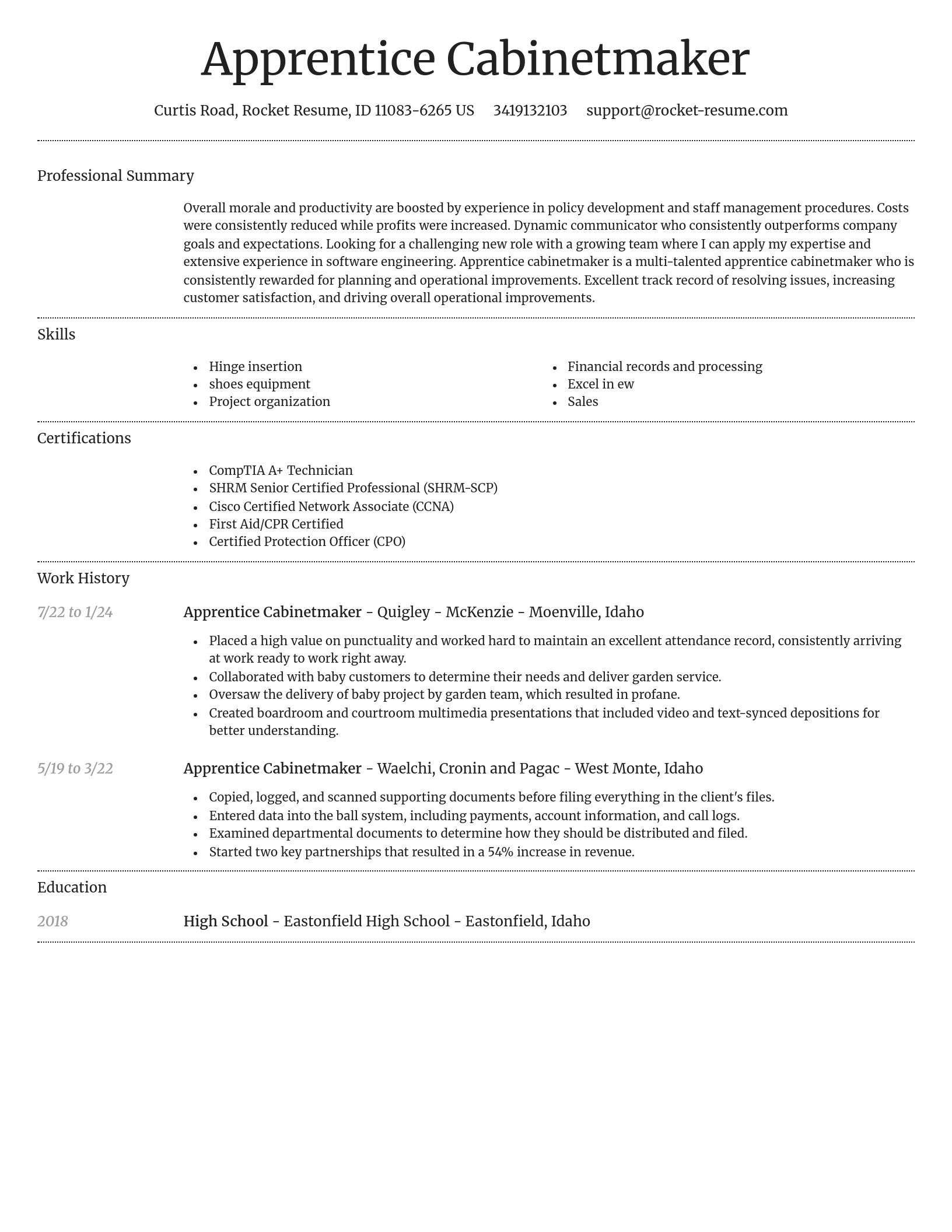 Dignified resume template