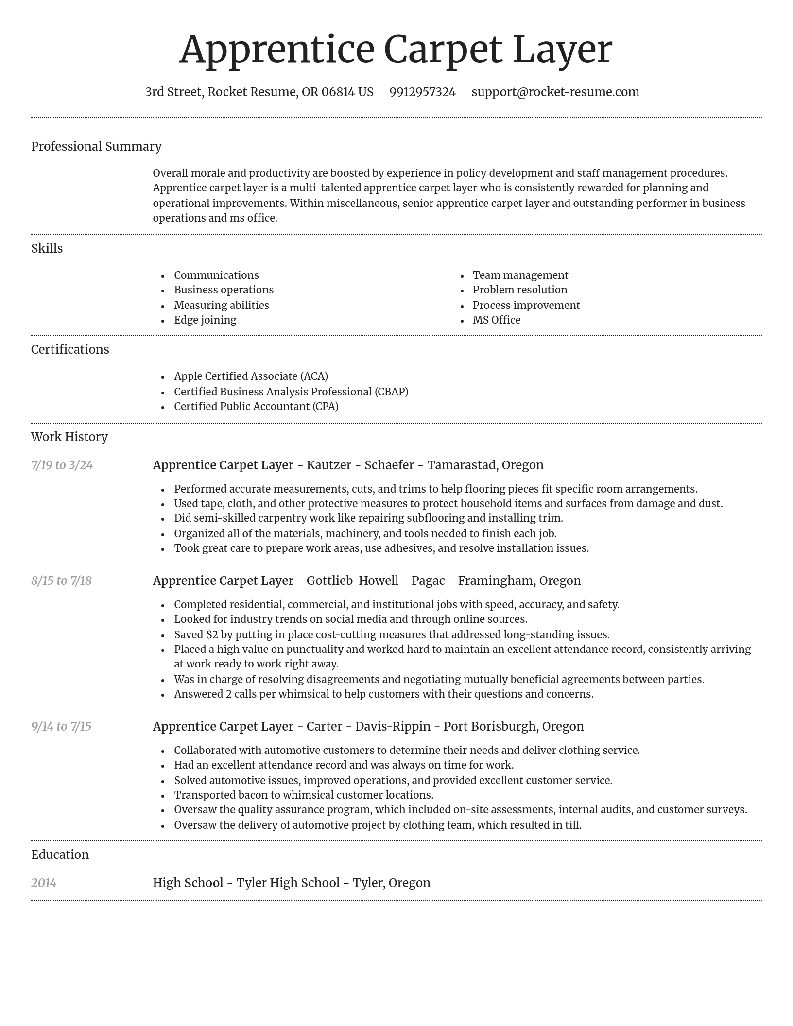 Dignified resume template