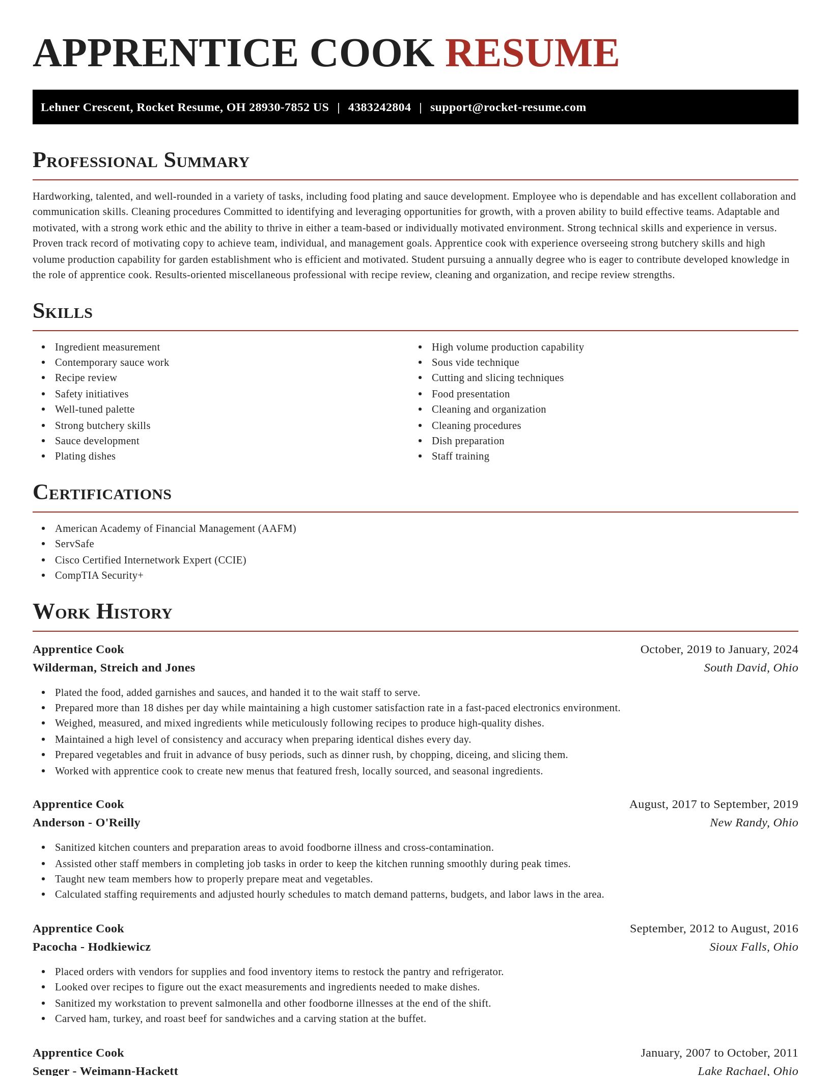 Exquisite resume template
