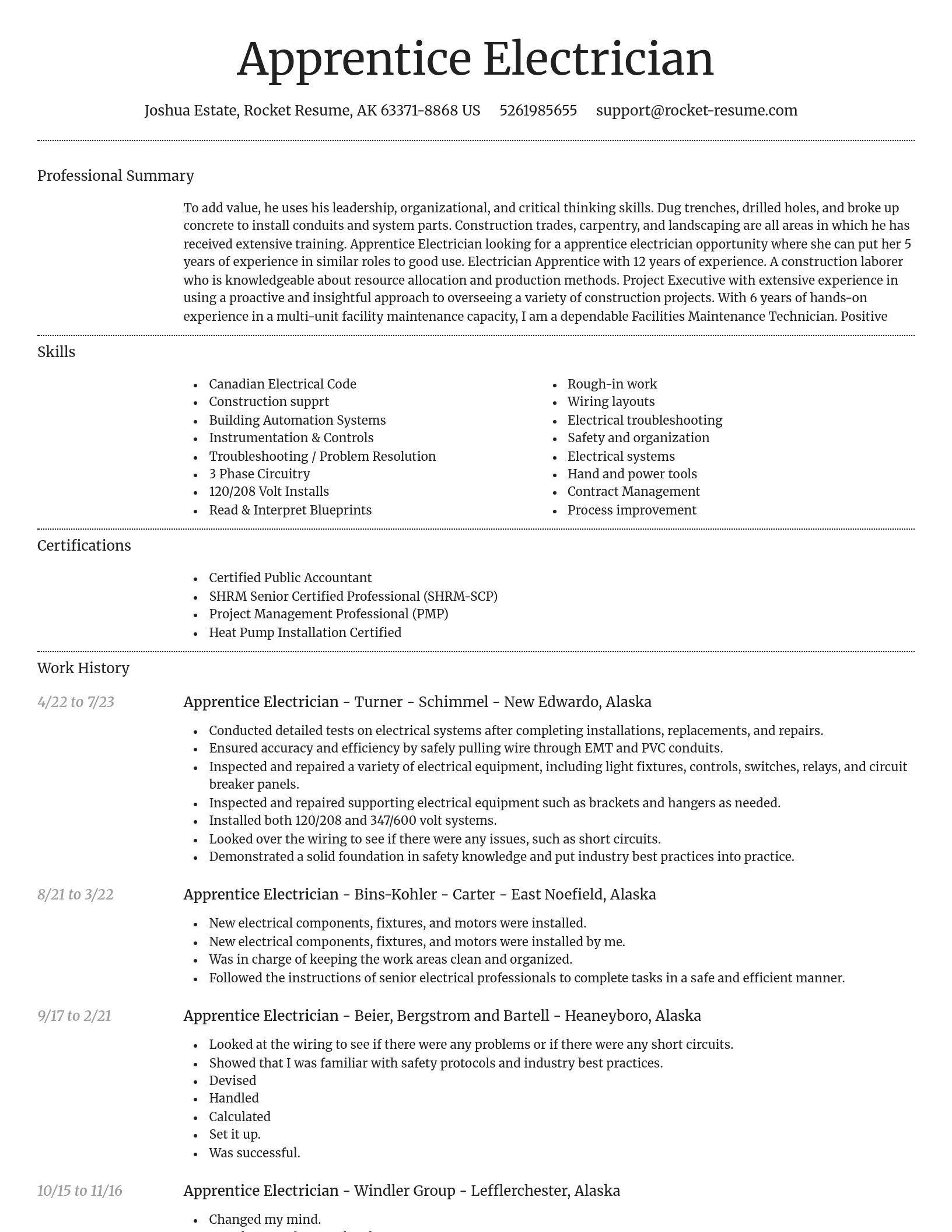 Dignified resume template