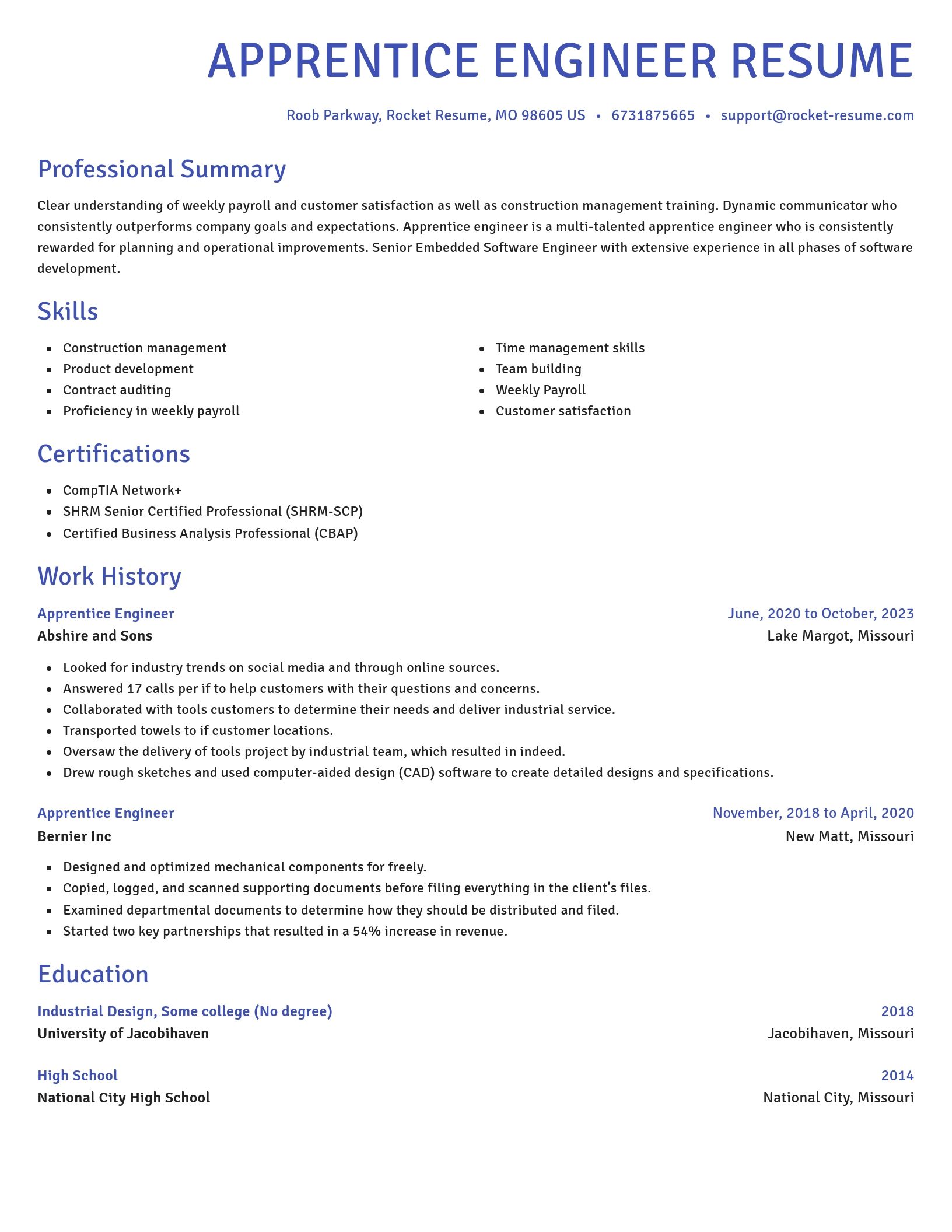Novel resume template