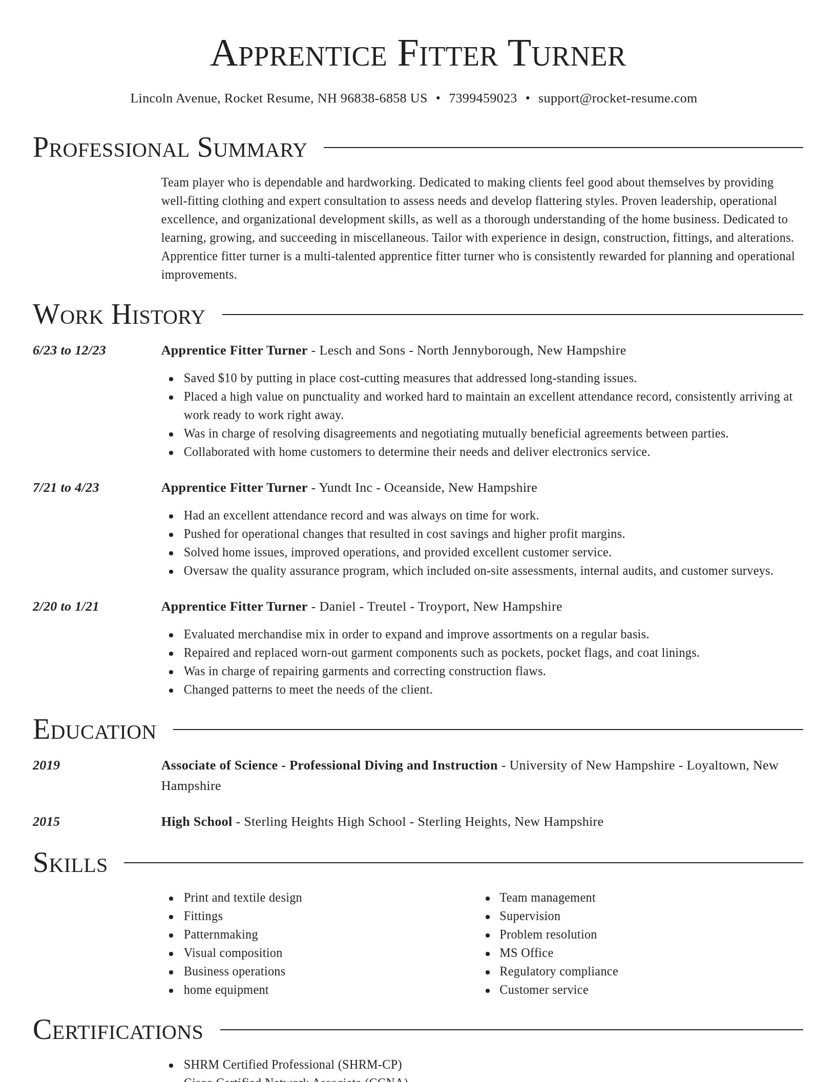 Director resume template