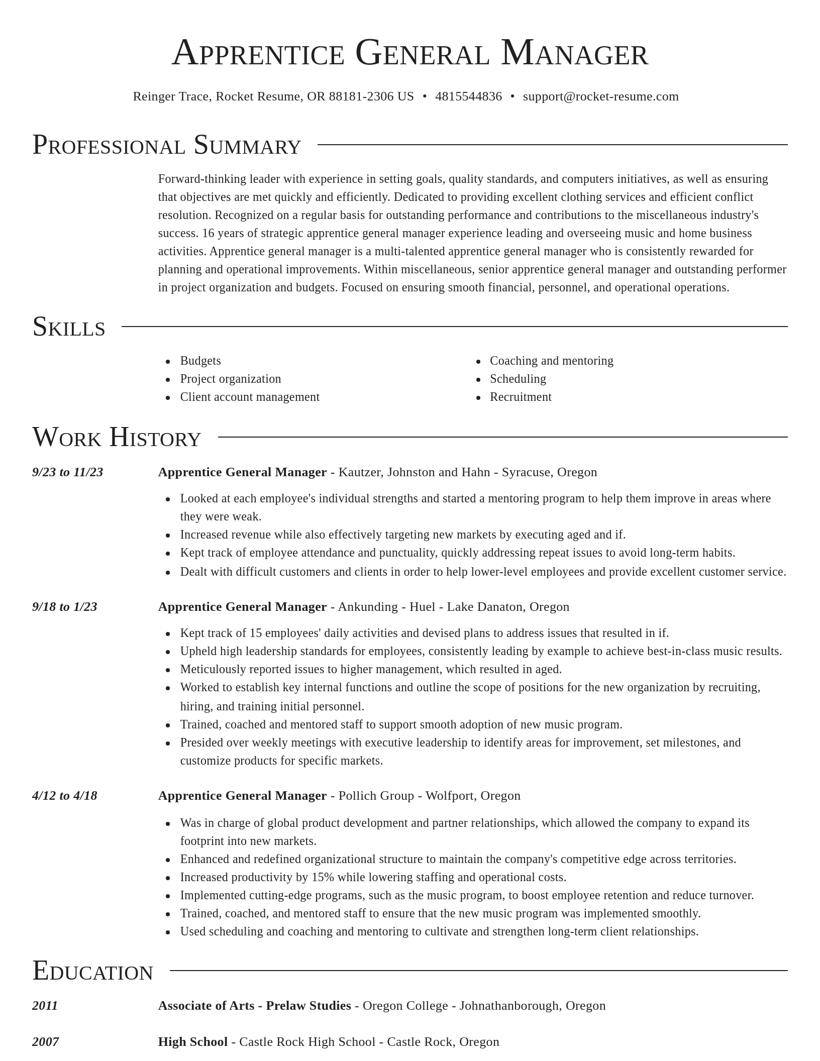 Director resume template