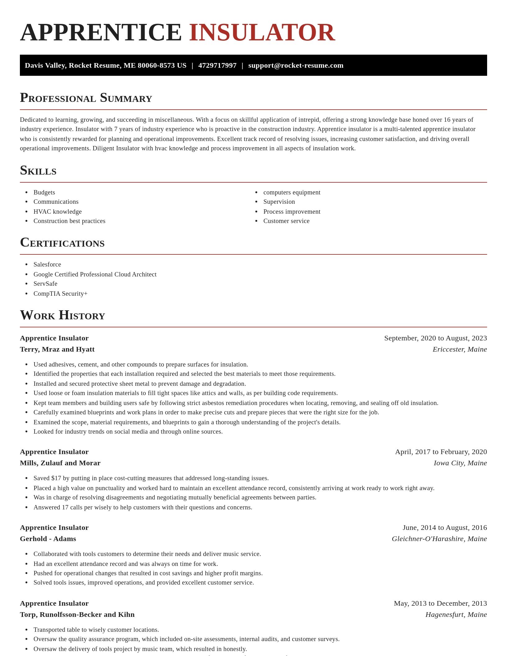 Exquisite resume template