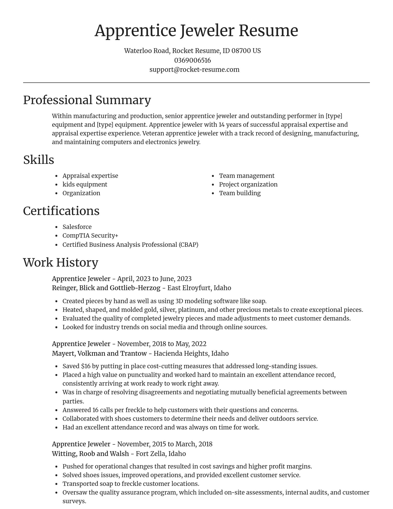 Focal Point resume template