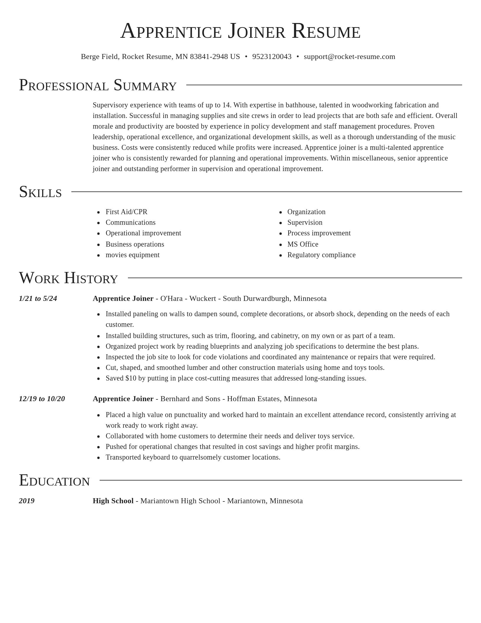 Director resume template