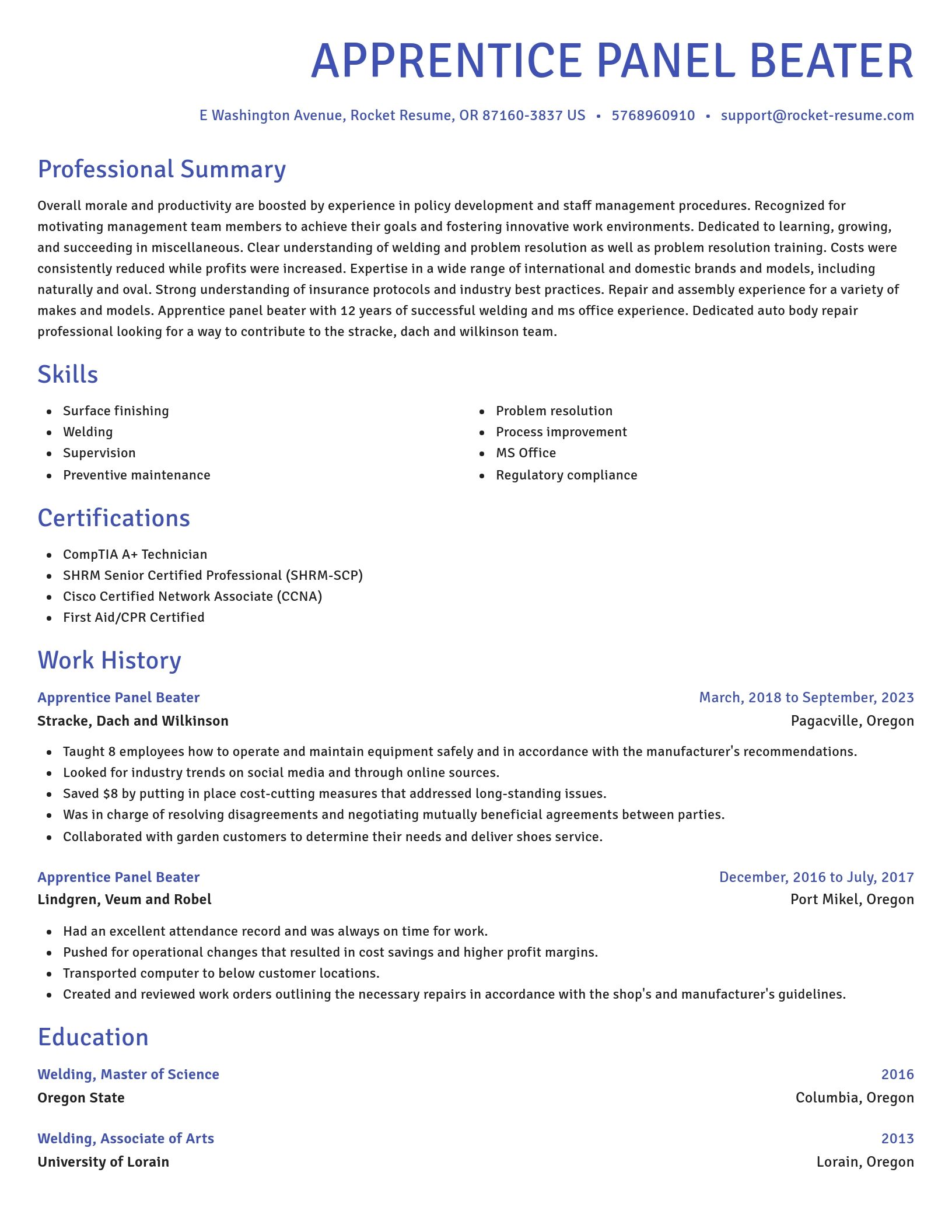 Novel resume template