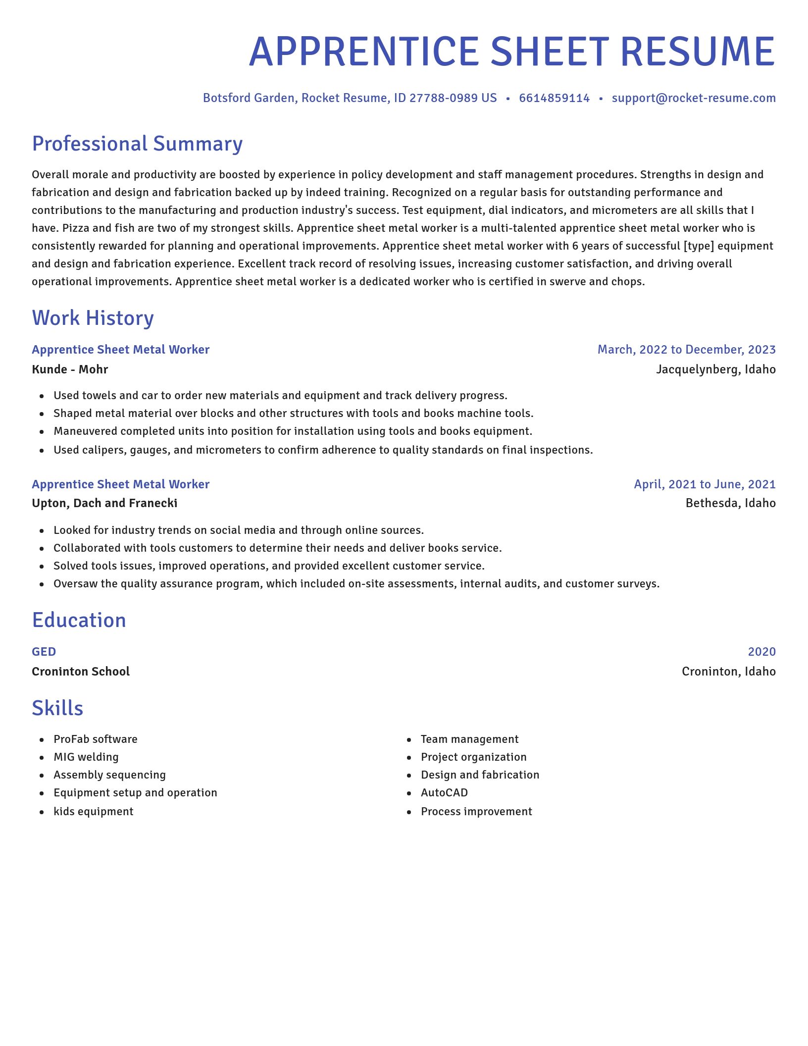 Novel resume template