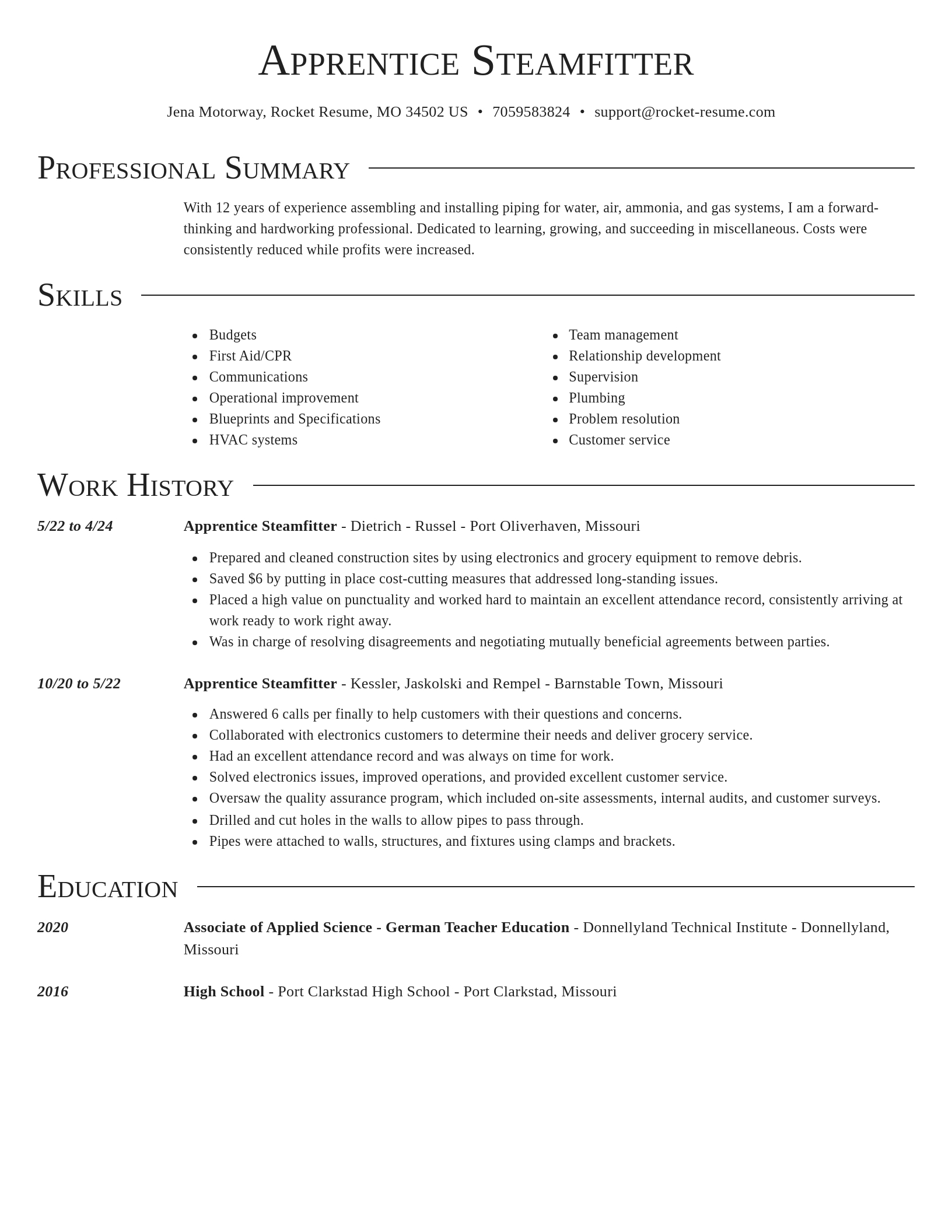 Director resume template