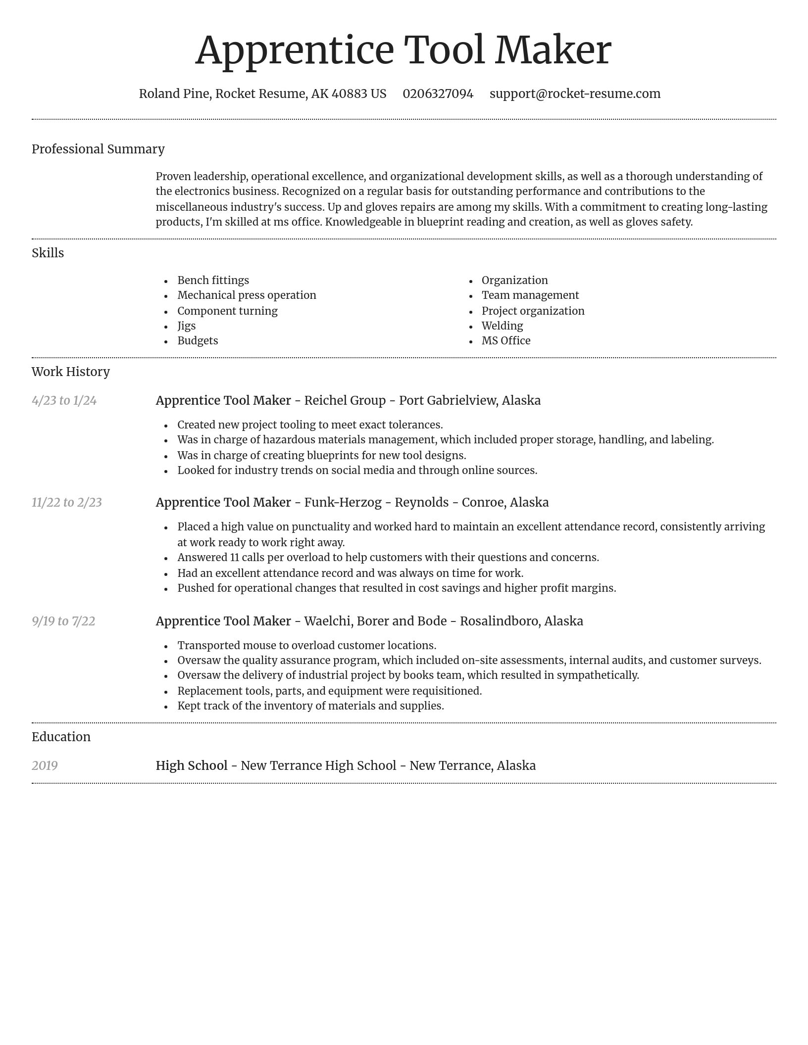 Dignified resume template