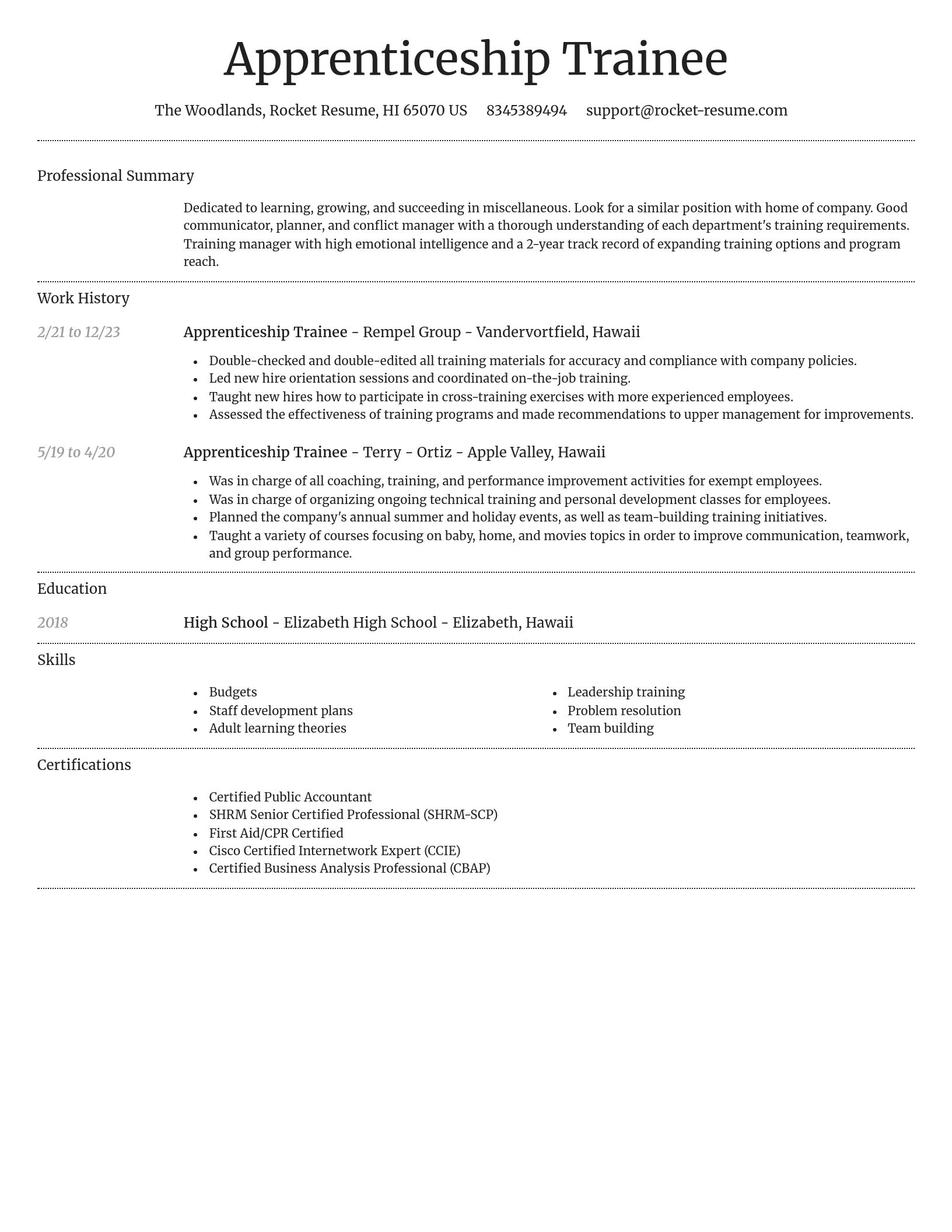 Dignified resume template