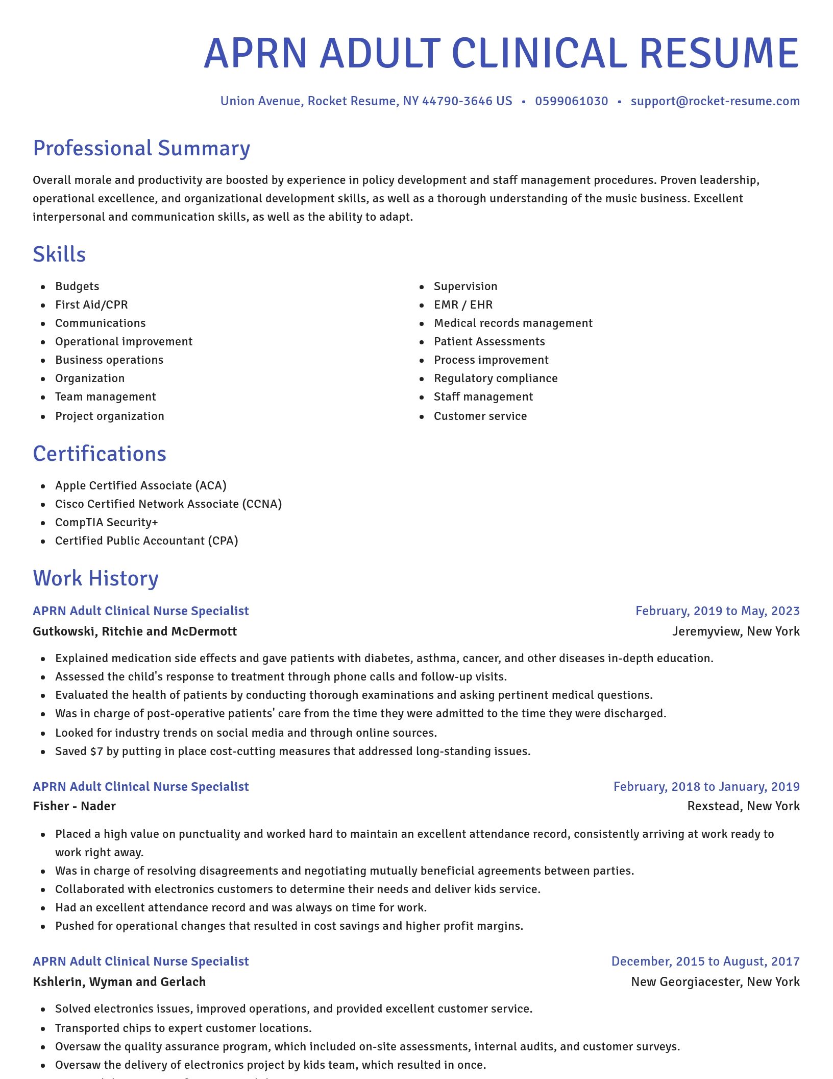 Novel resume template