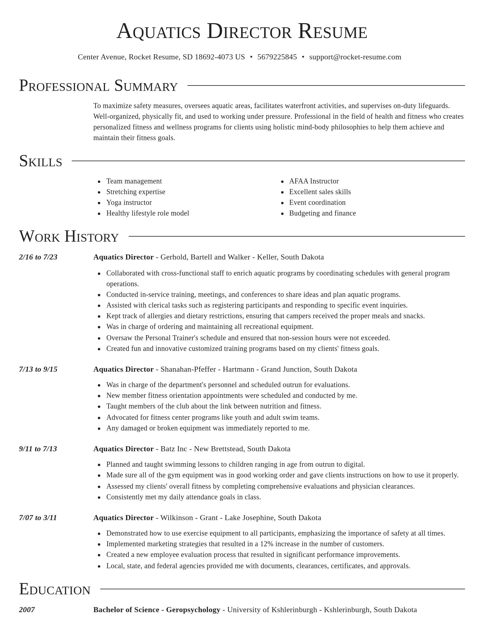 Director resume template