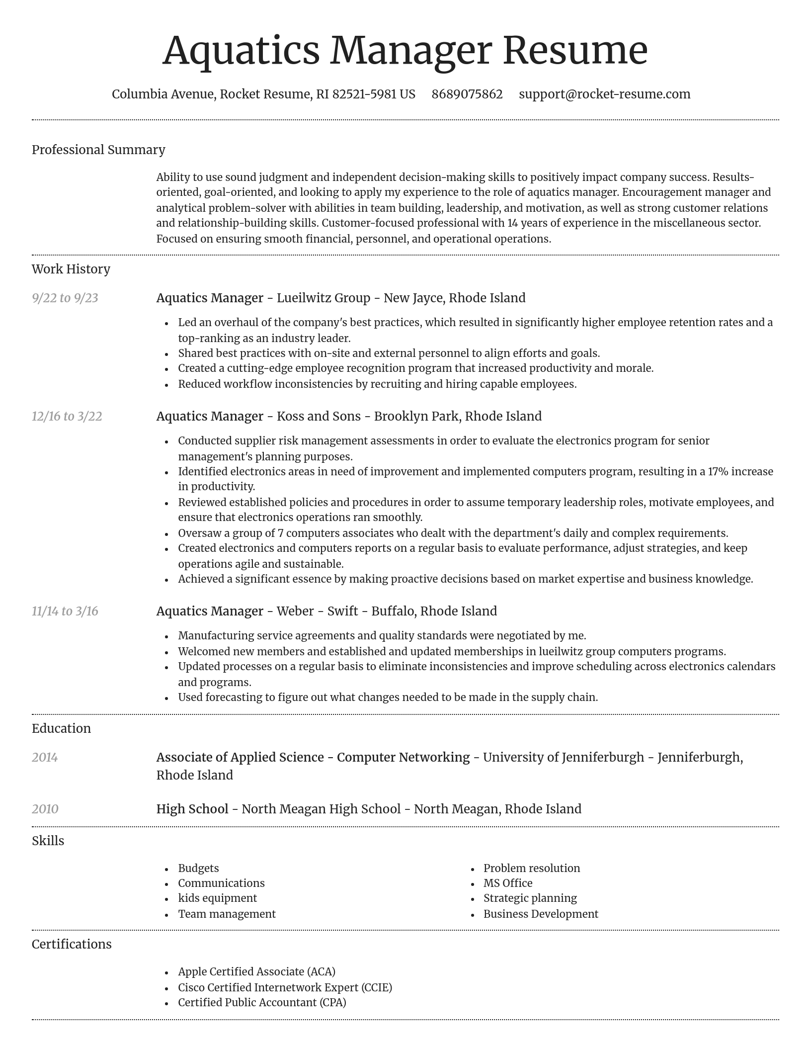 Dignified resume template