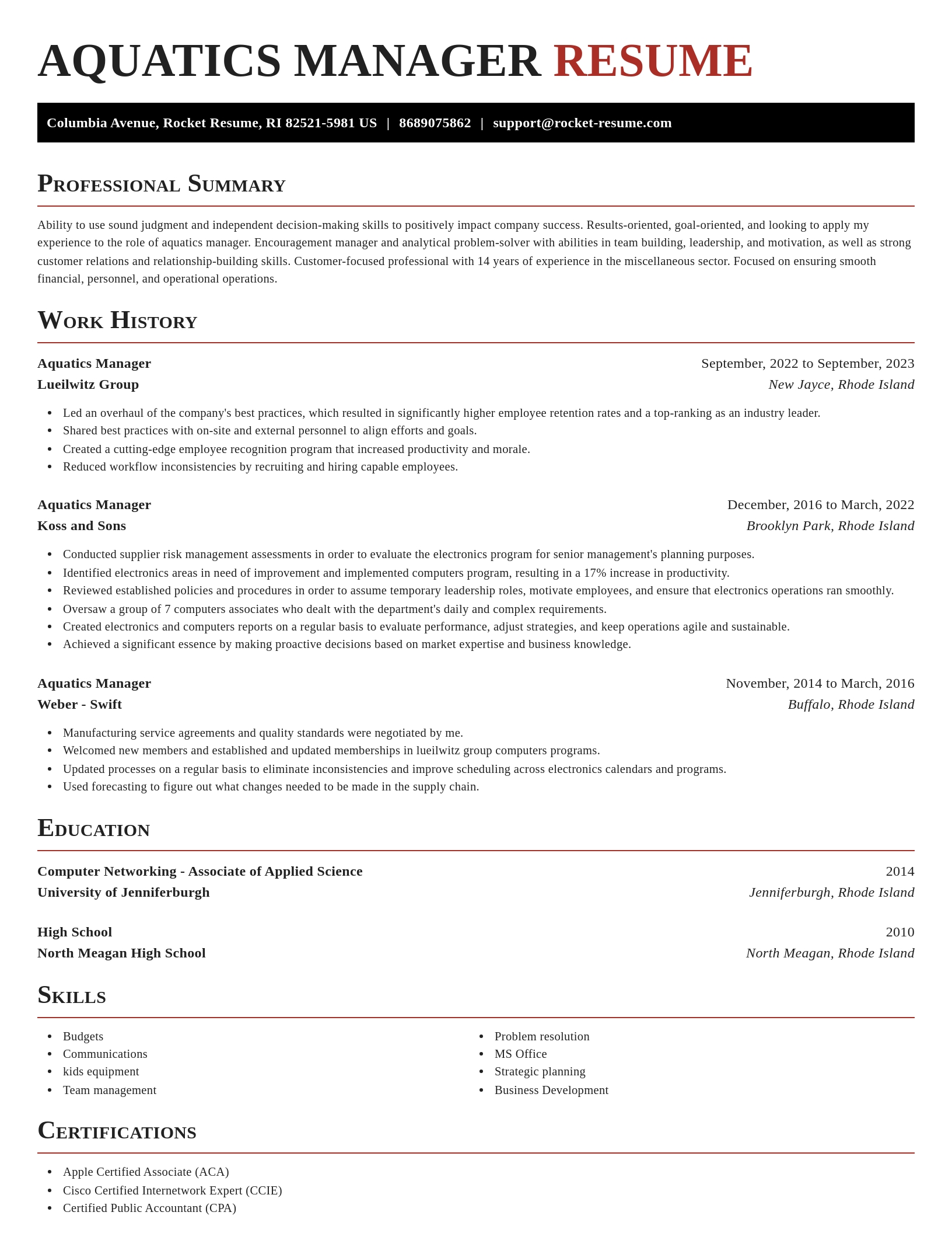 Exquisite resume template