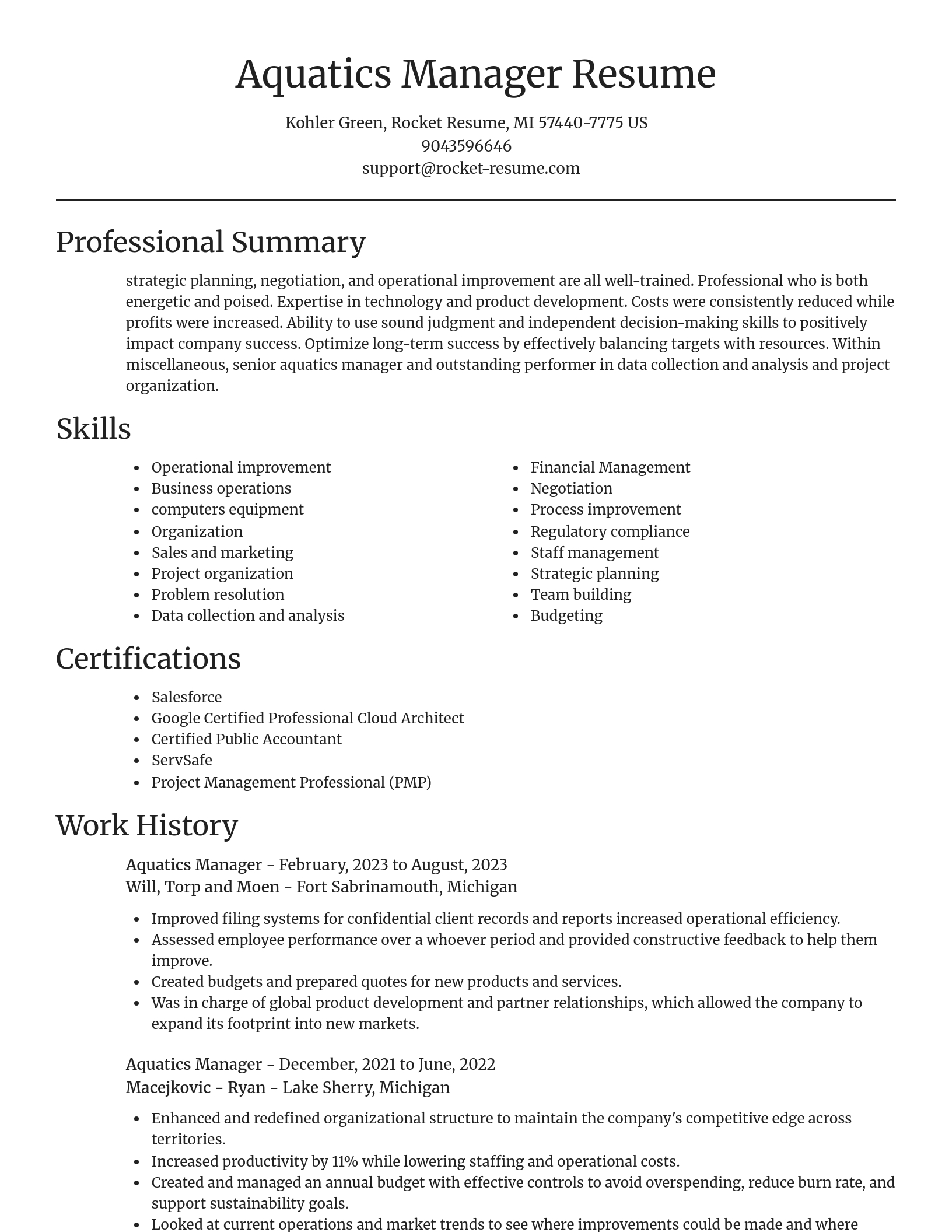 Focal Point resume template