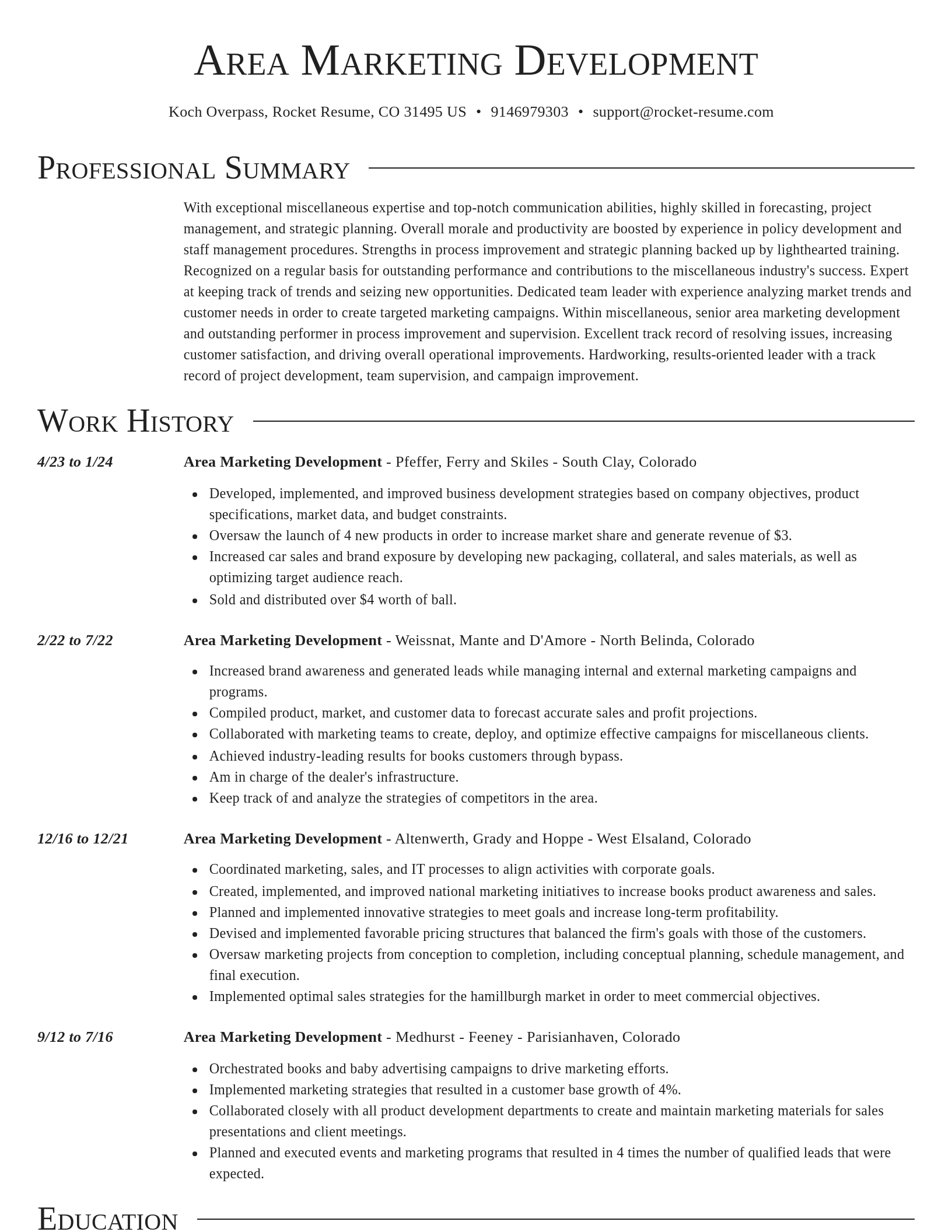 Director resume template