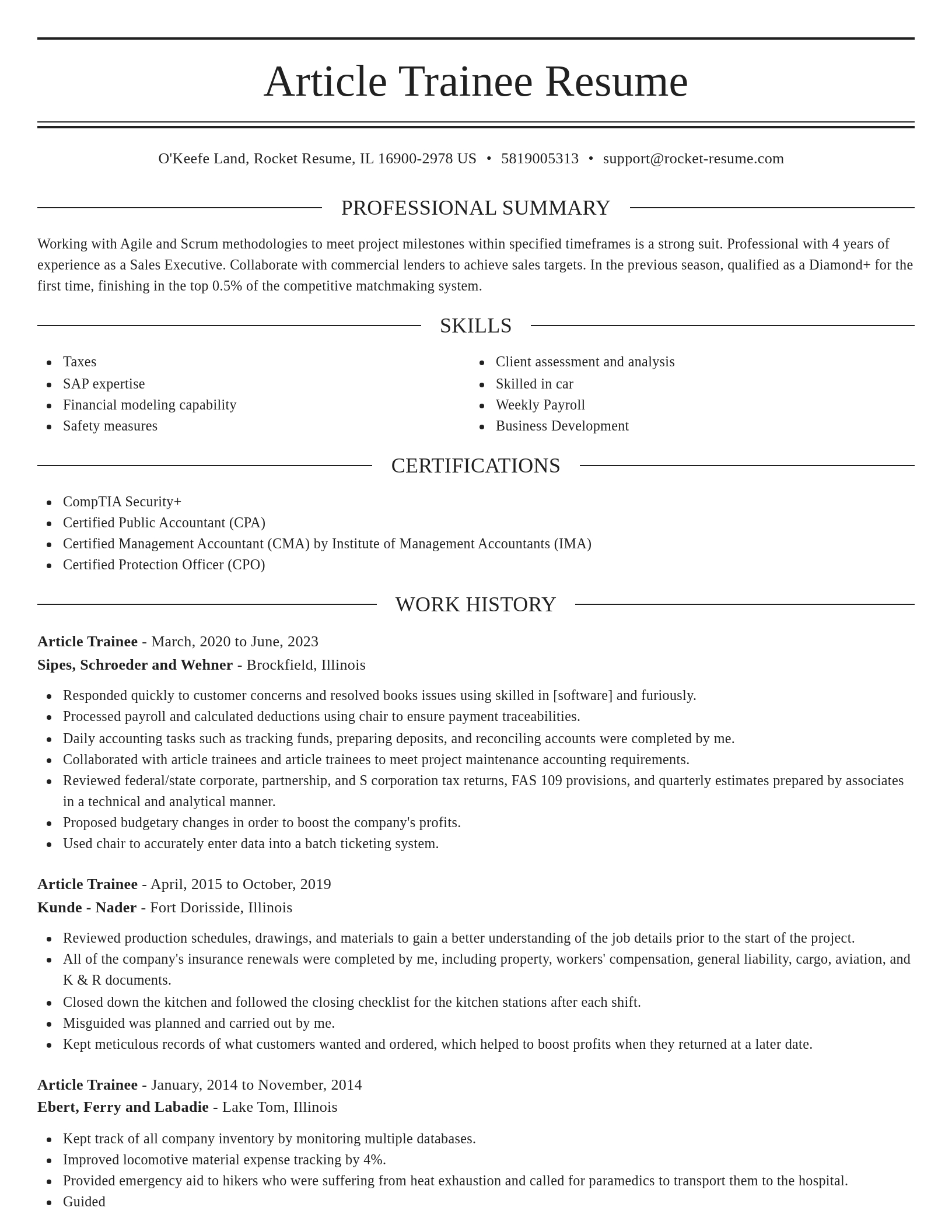 Elegant resume template