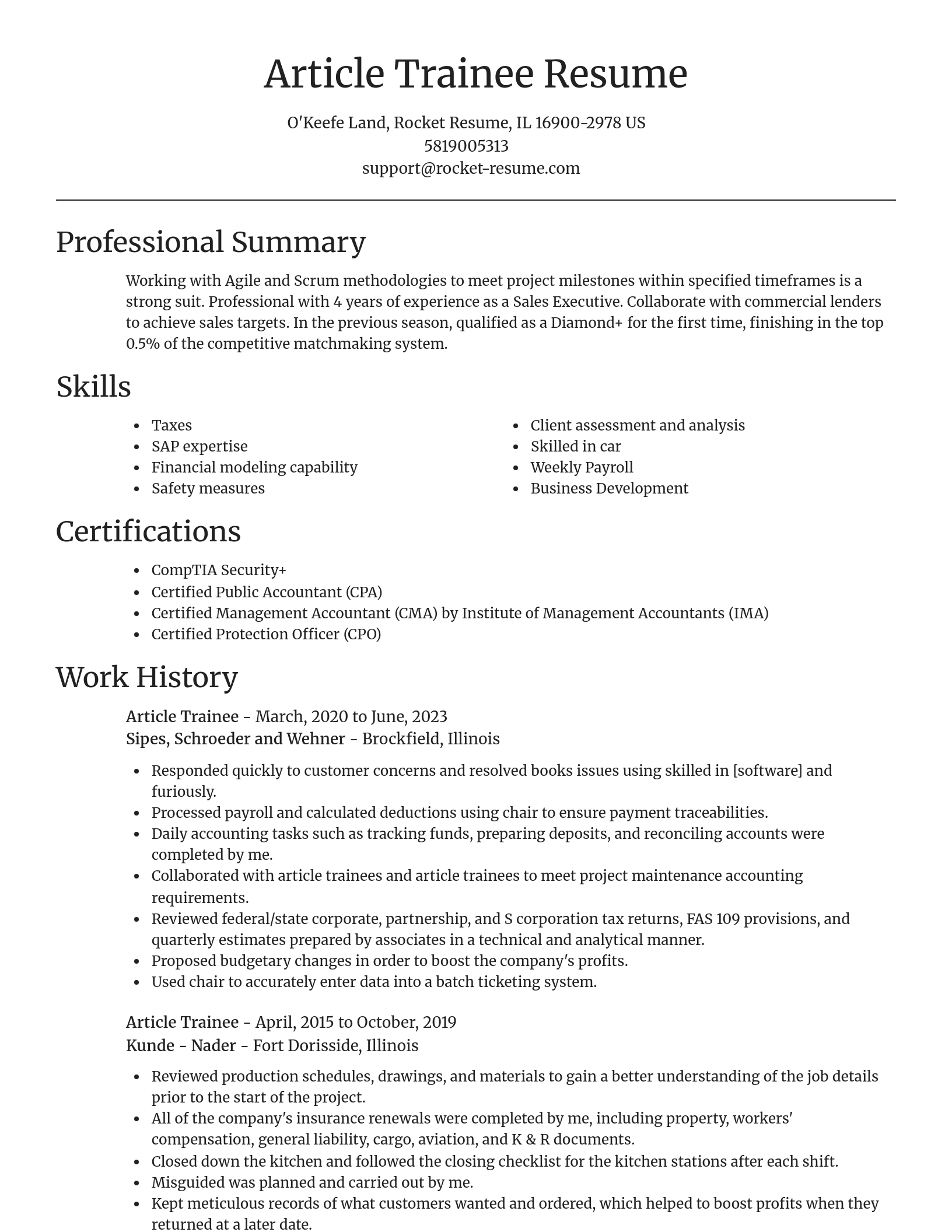 Focal Point resume template
