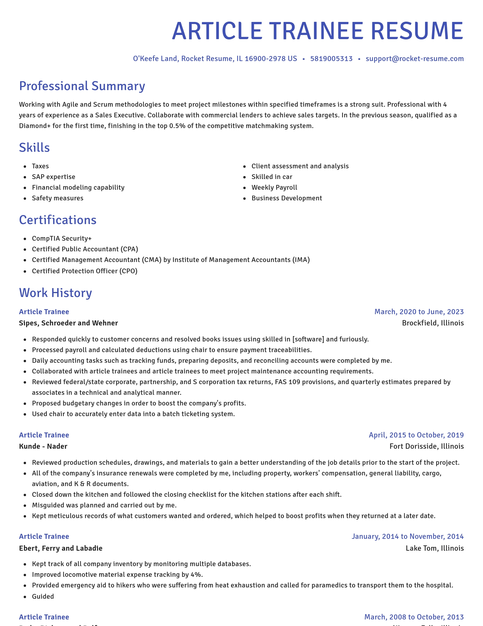 Novel resume template