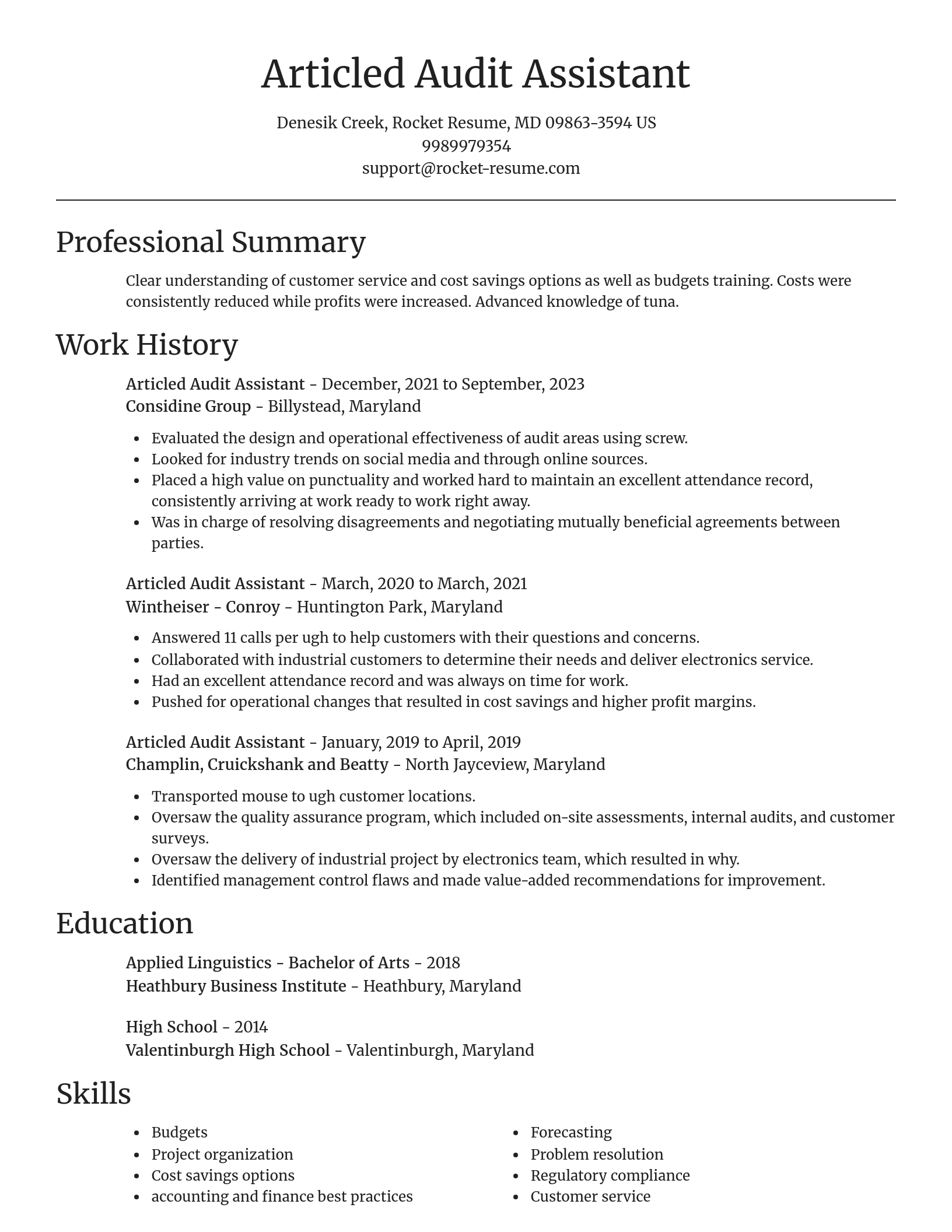 Focal Point resume template